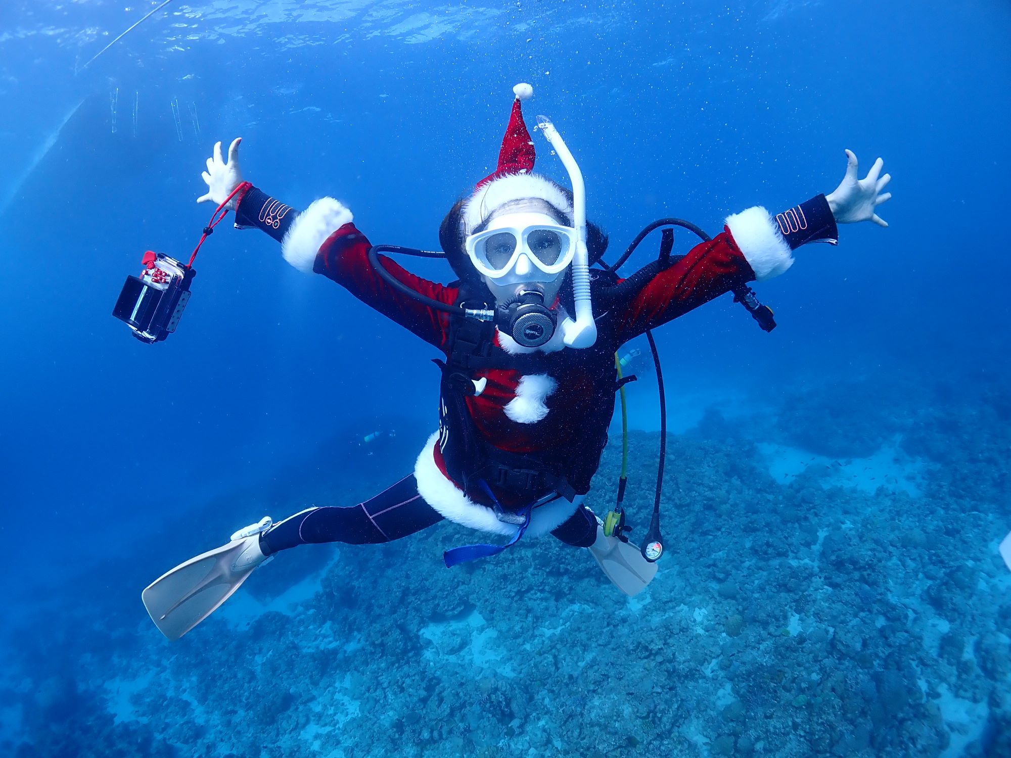 サンタダイブのリクエスト受付中🎅