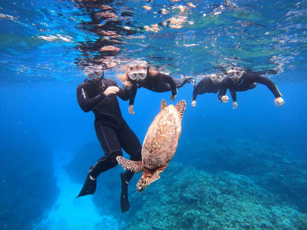 ダイビングセット【期間限定】 2025.10.18（土） 宜野湾発 ケラマ諸島 体験ダイビングツアー ブログ