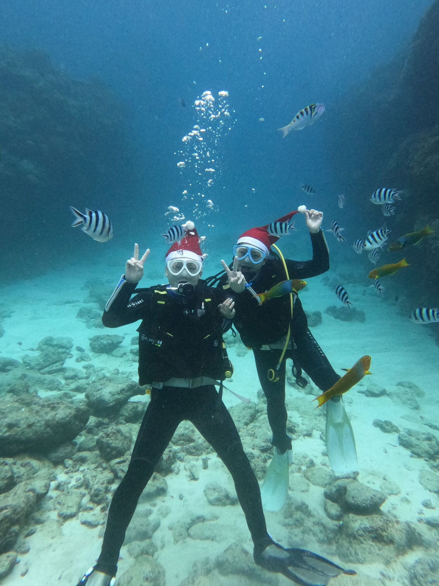 2025年12月24日　慶良間（チービシ）でシュノーケリング🐠.。o○