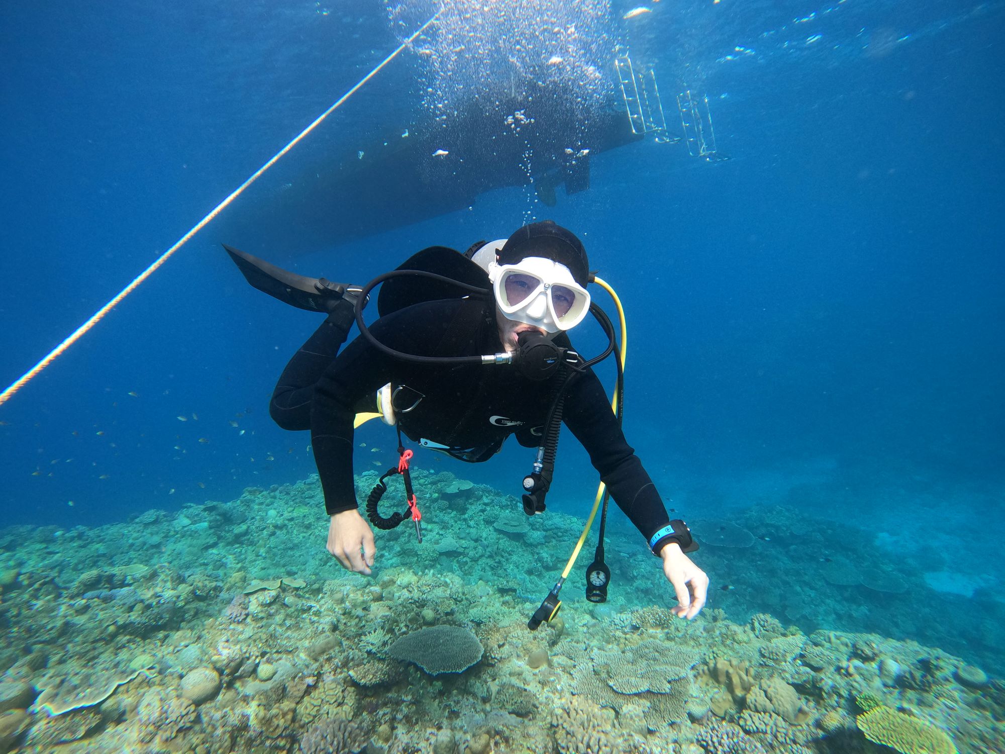 2026年1月14日　ダイビング日和😊