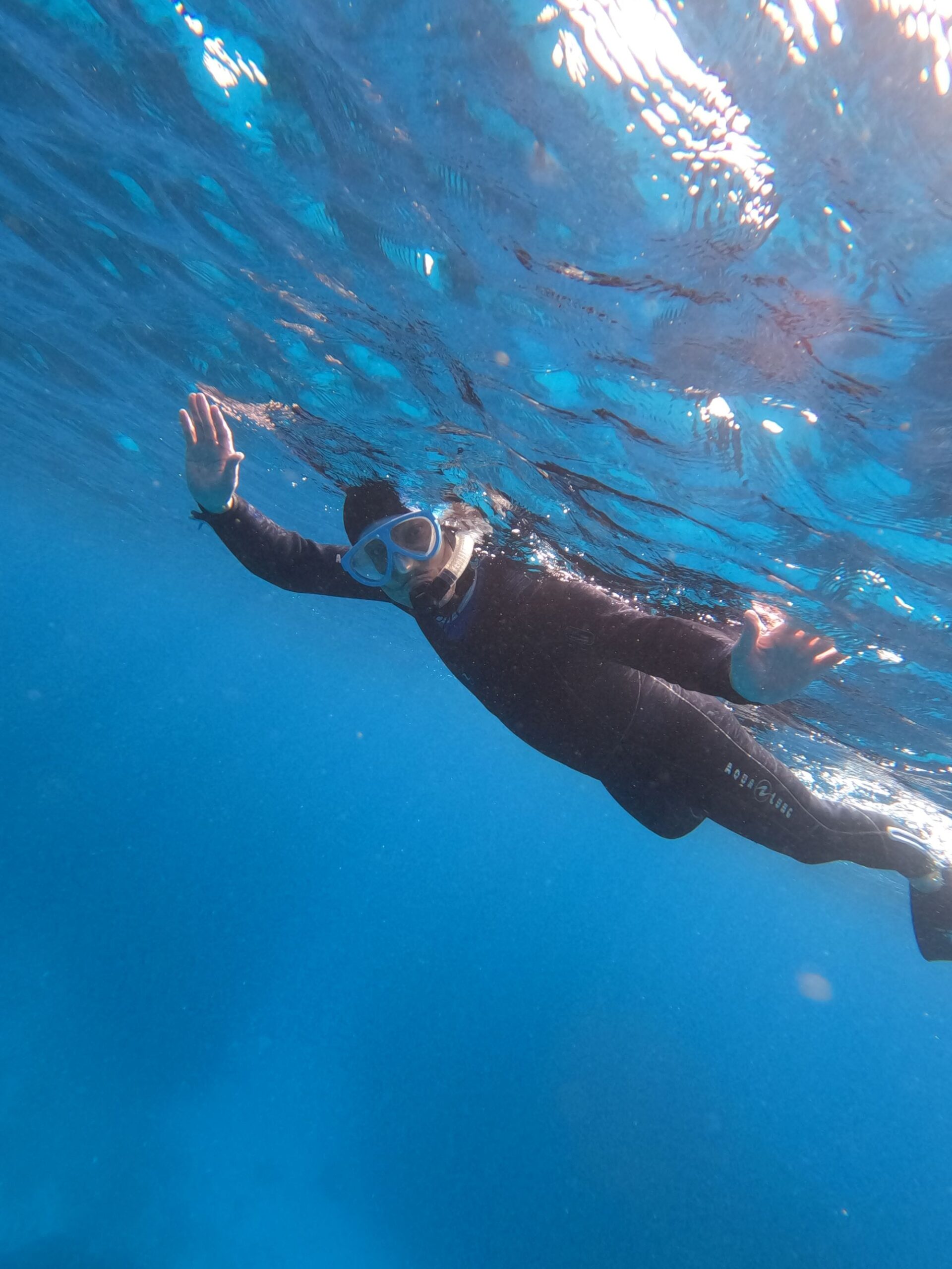 2026年1月17日ケラマ諸島シュノーケリングDAY