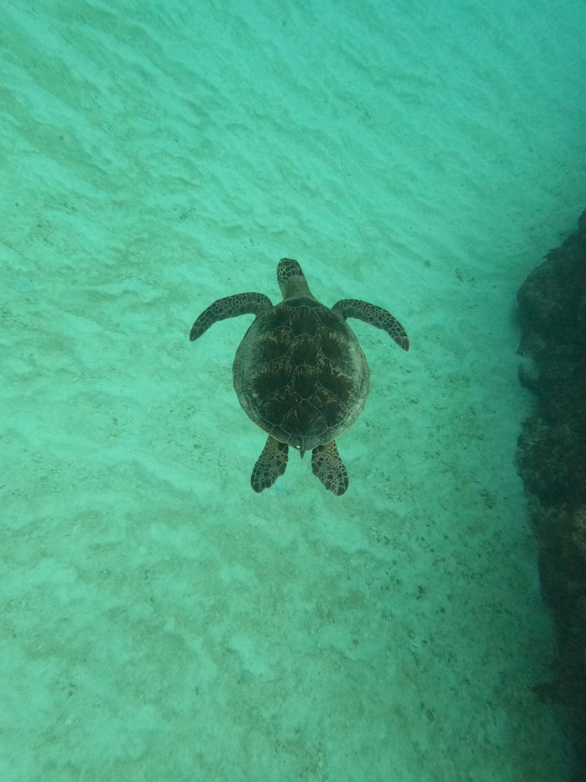 2026年1月28日　慶良間でマンツーマン.。o○