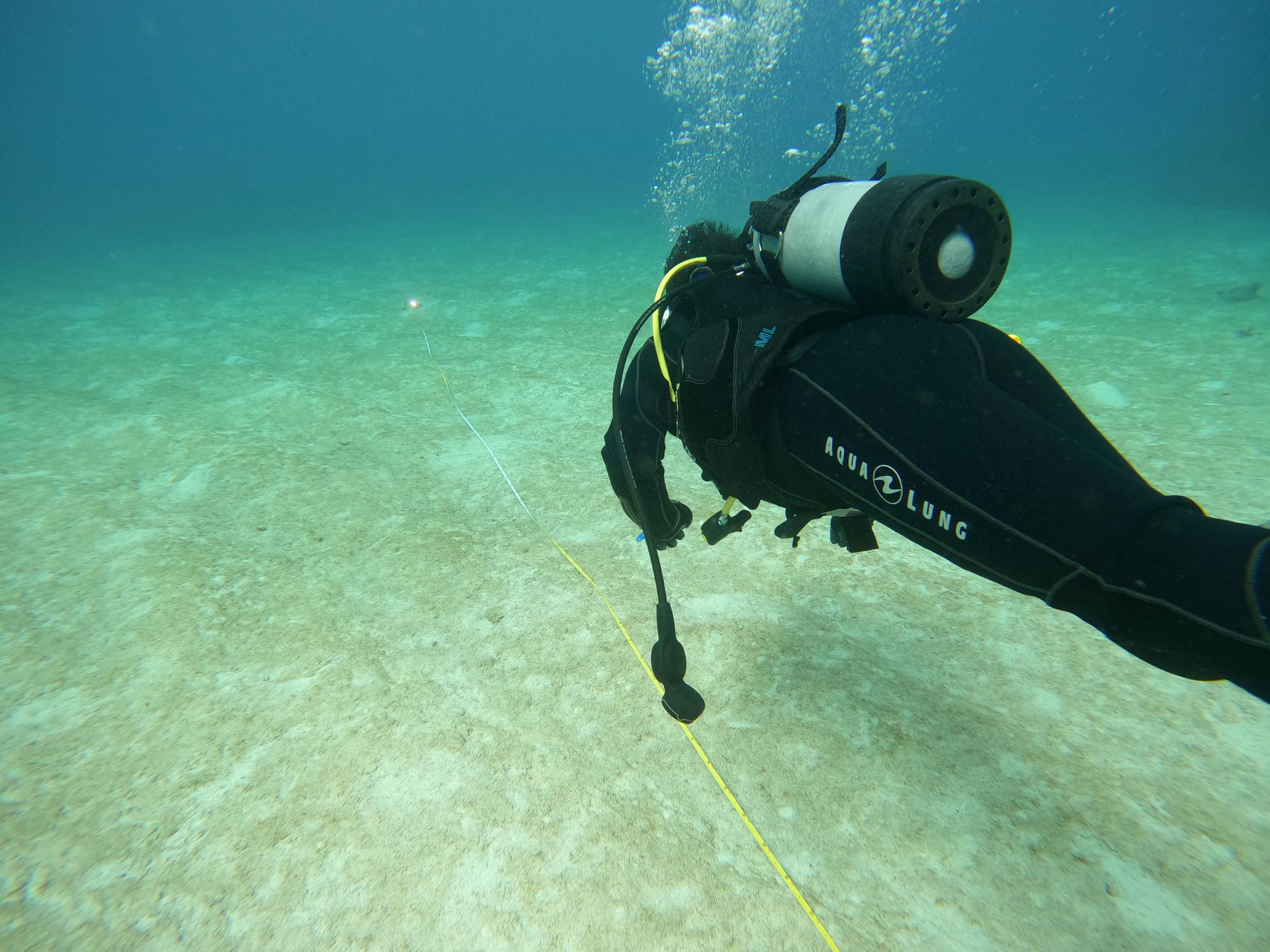 2026年1月11日　沖縄も冬です！元気にチービシへ！