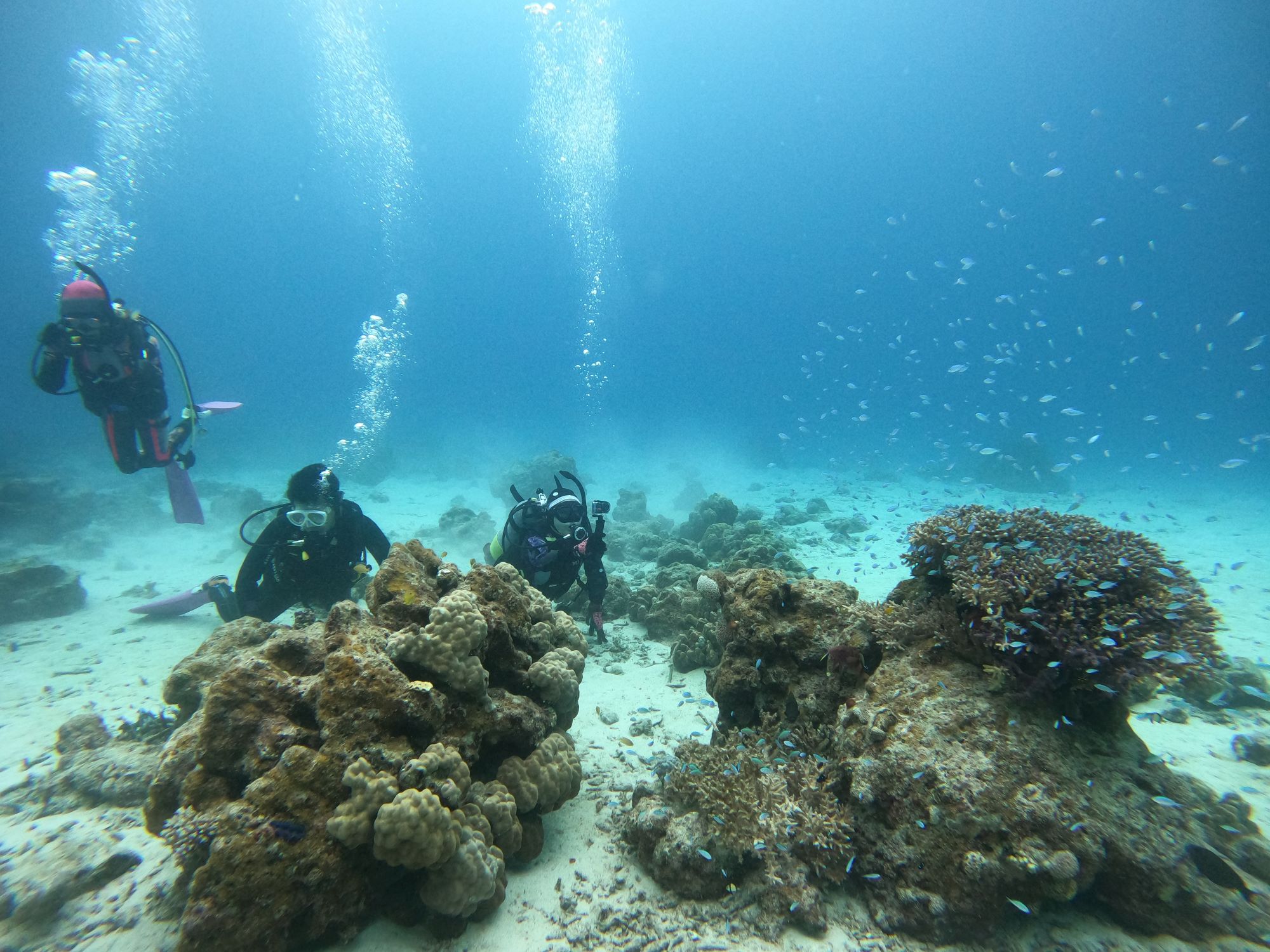 2026年1月12日　慶良間コース＆ホエールスイム