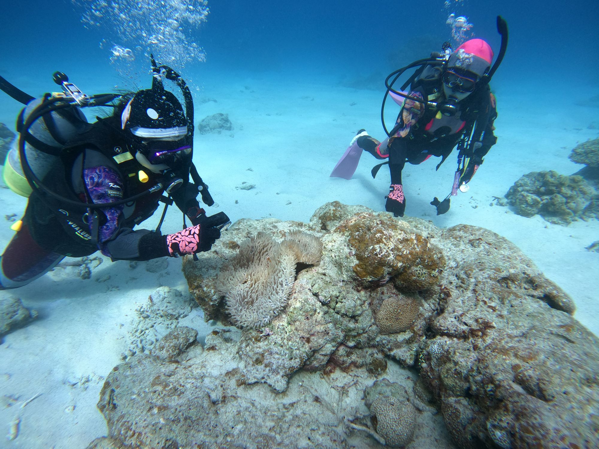 【2月・3月の沖縄】ダイバー必見！冬から春の海を楽しむ気候と服装ガイド