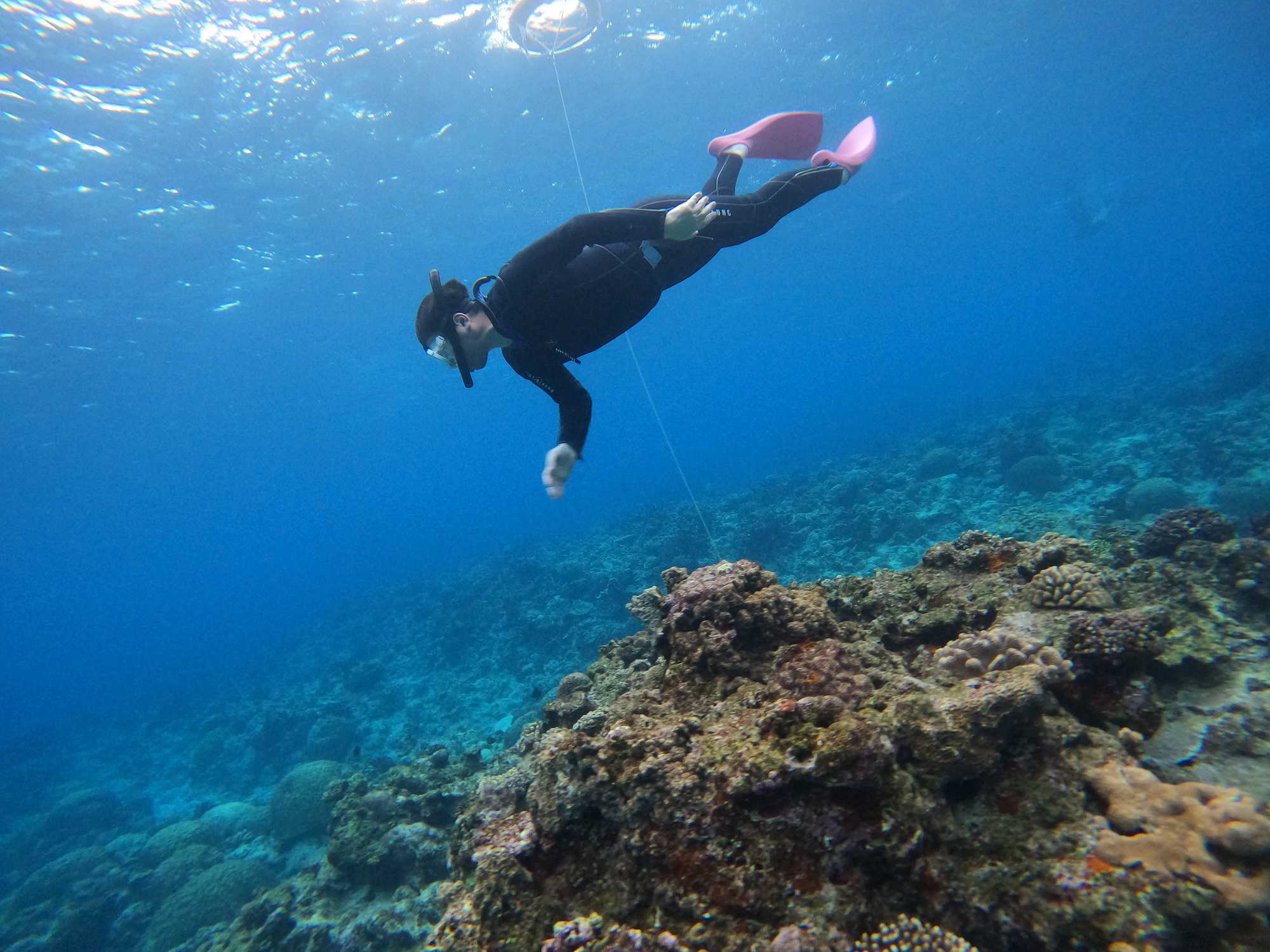 2026年1月13日　ホエールスイム＆スキンダイビング