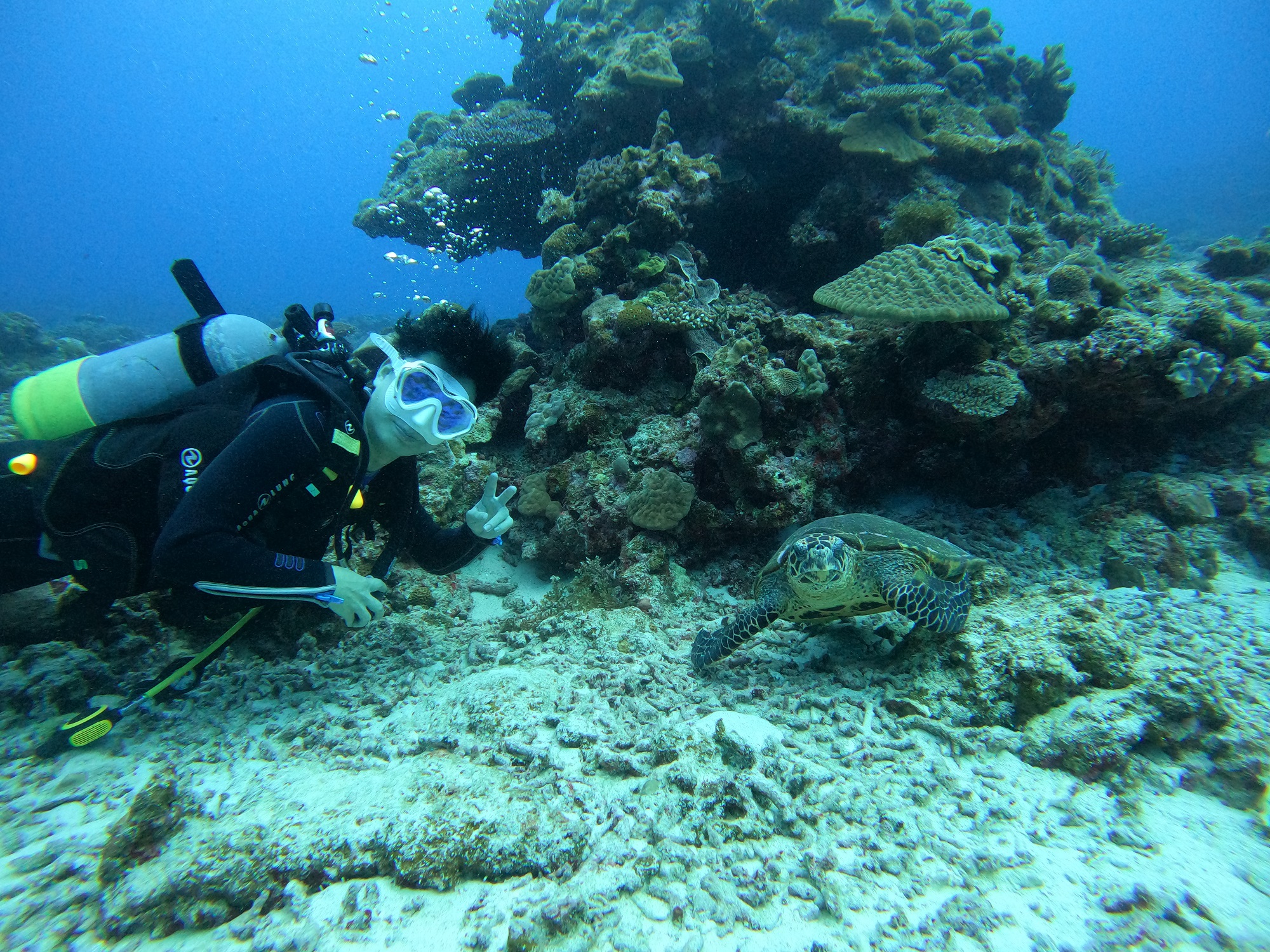 2026年1月19日　ダイビング日和