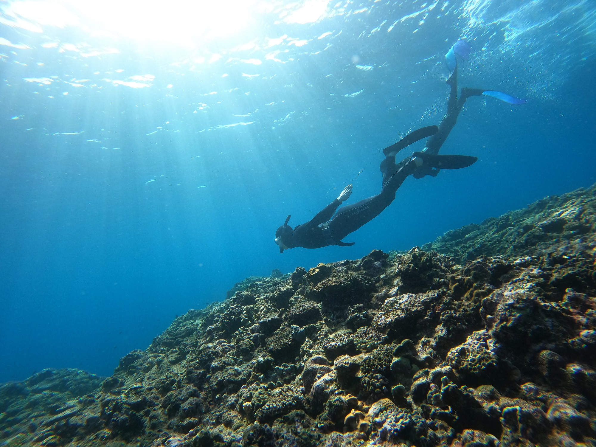 2026年1月24日　ｆｕｎ＆スキンダイビング