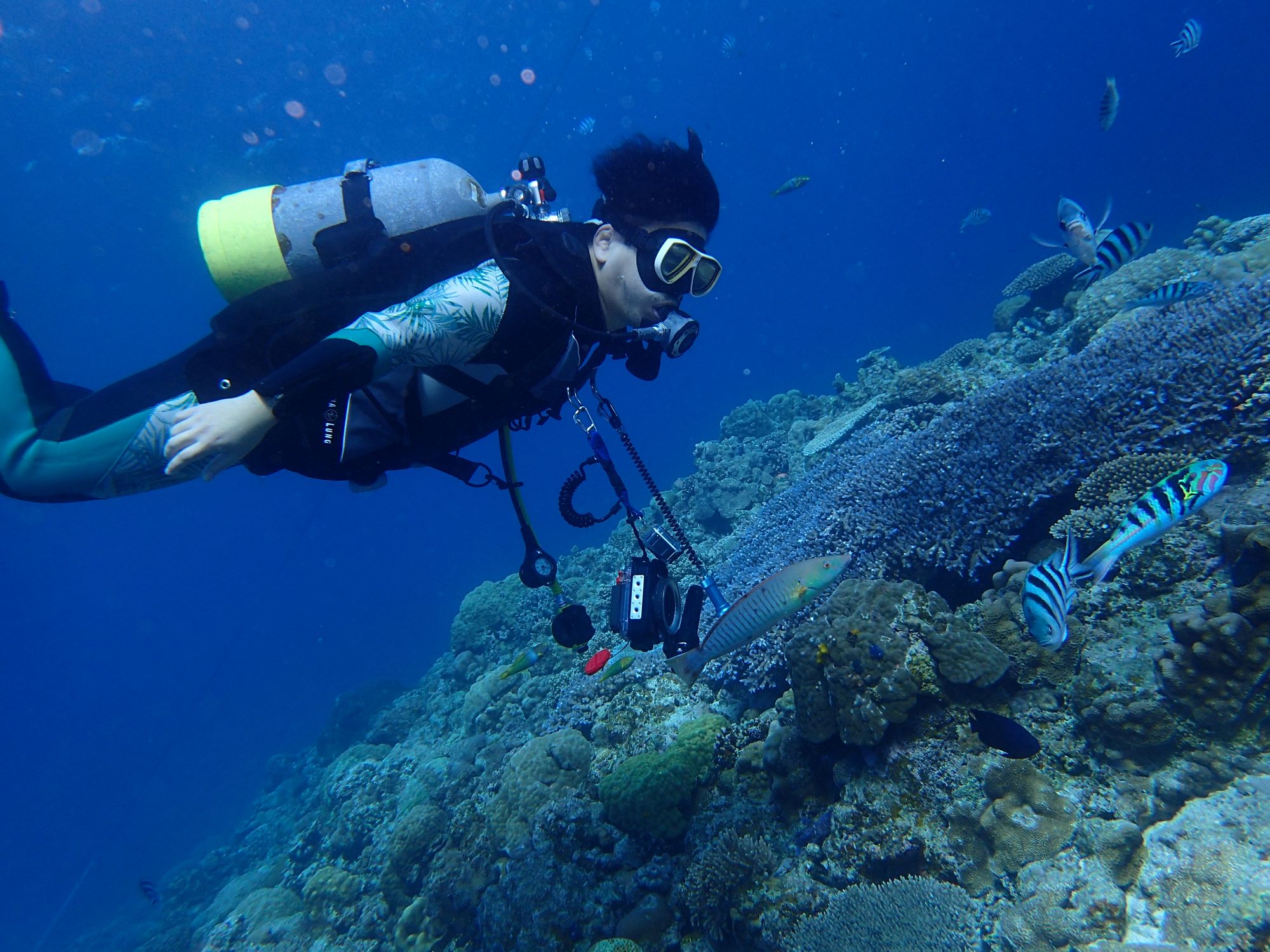 2026年1月10日　OWD講習修了！み～んなでファンダイビング🥽
