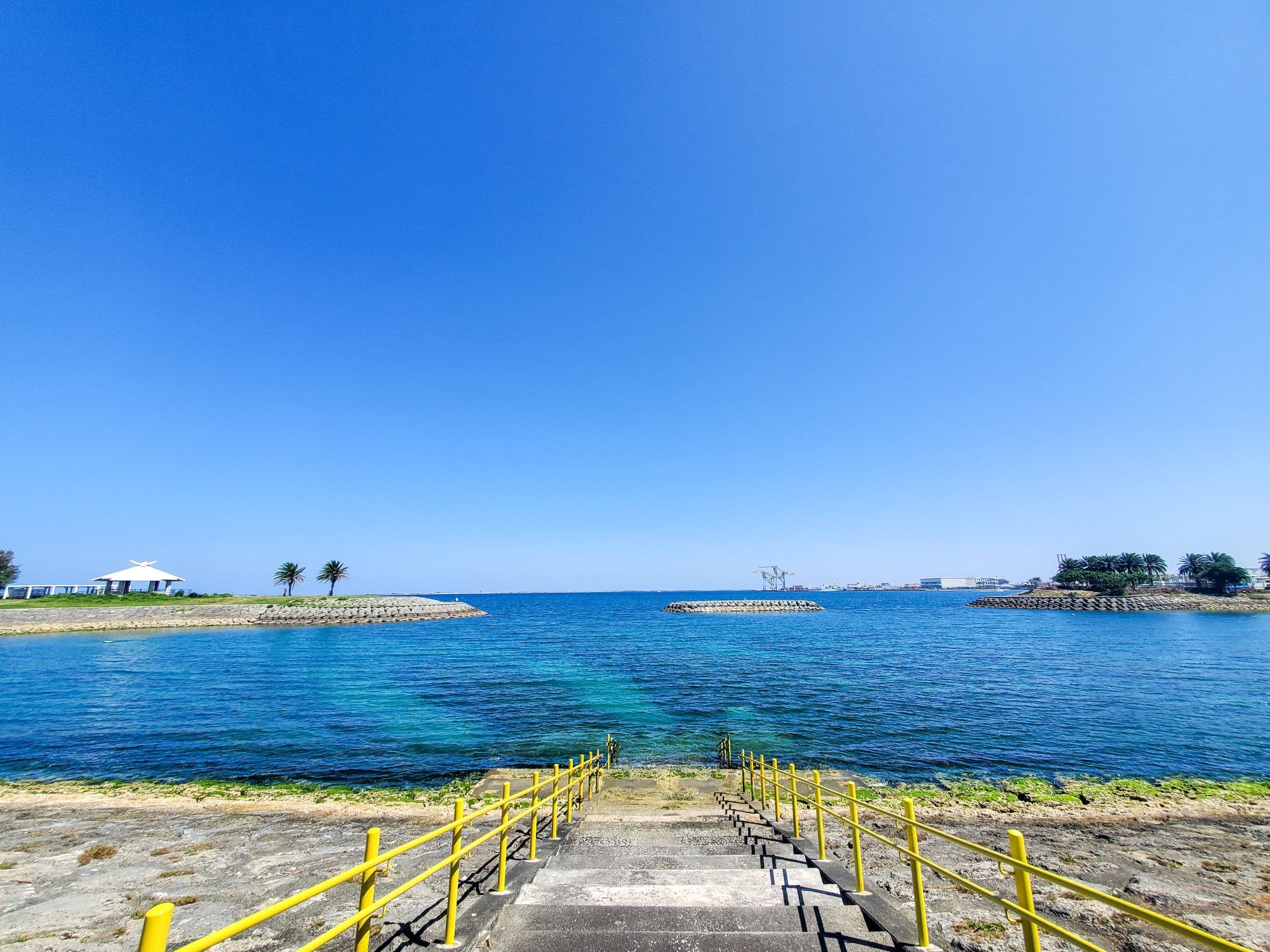 2026年1月９日　オープンウォーター講習＆ホエールウォッチングチャーター！