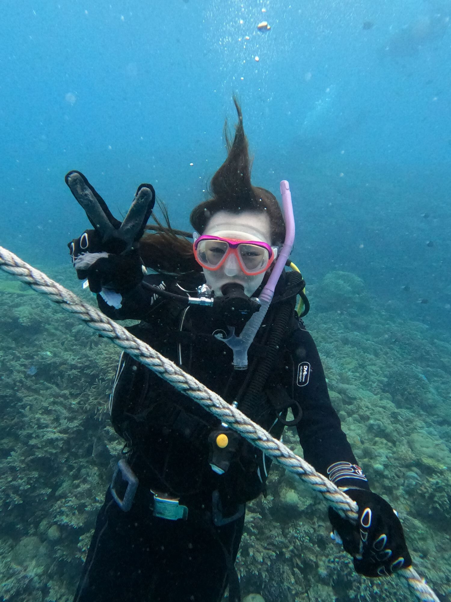 2026年1月6日新年体験ダイビング