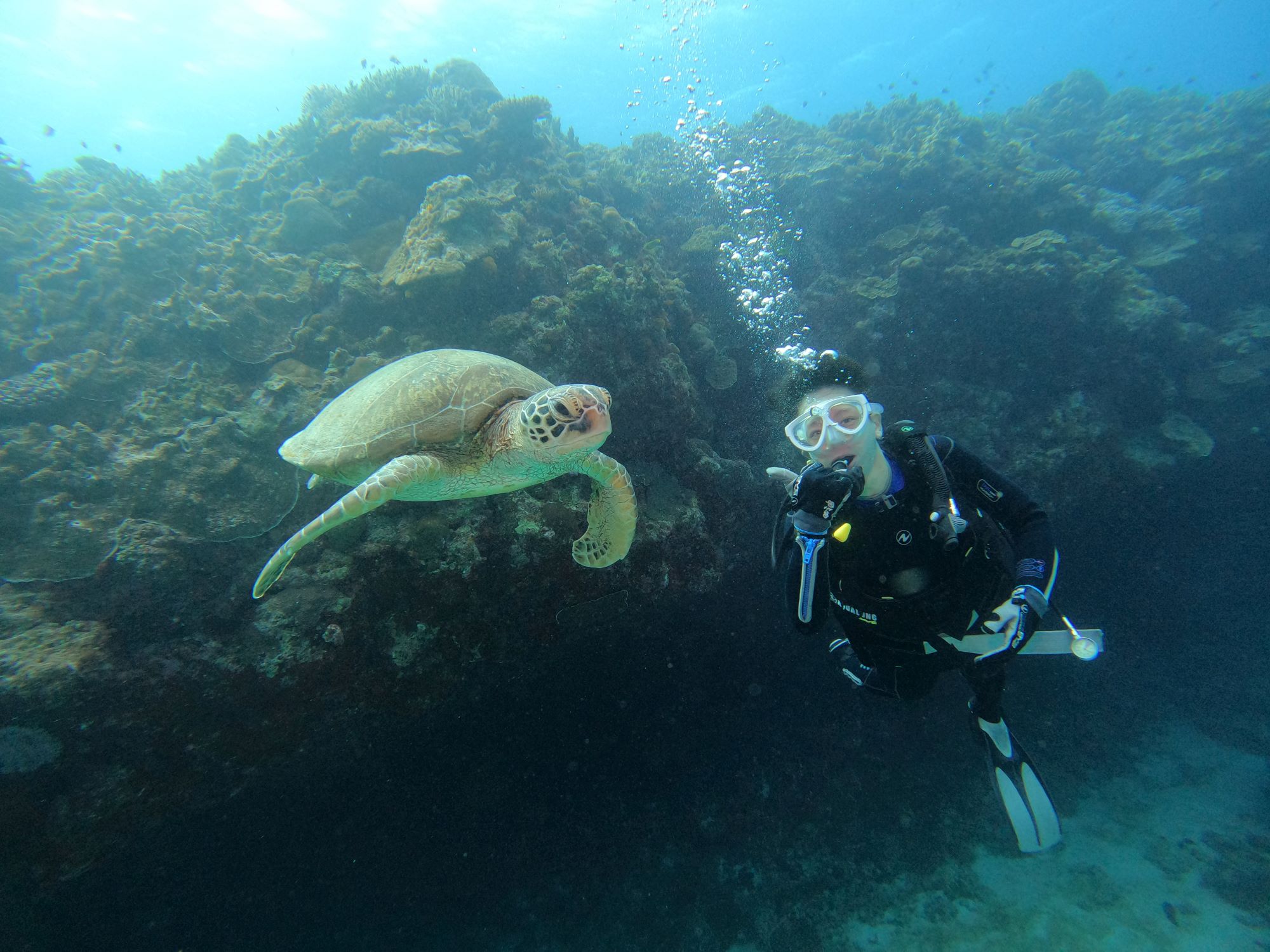 2026年1月8日チービシ諸島ボートダイビングツアー