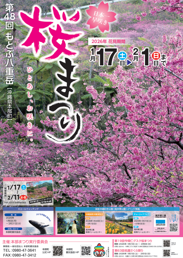 日本一早い春が到来！沖縄の「寒緋桜（カンヒザクラ）」を楽しもう