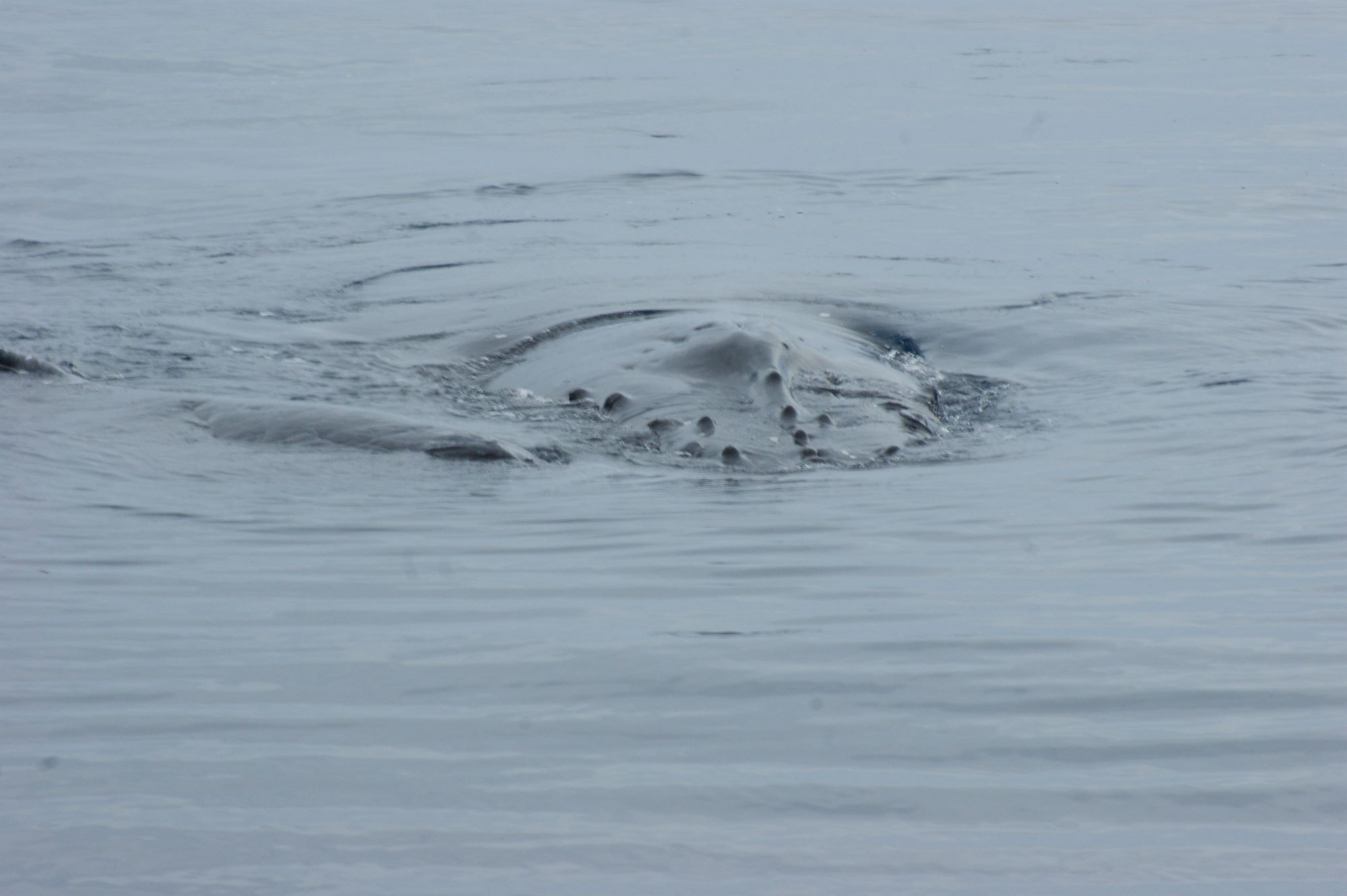 2026年2月20日　本日の沖縄の海.。o○