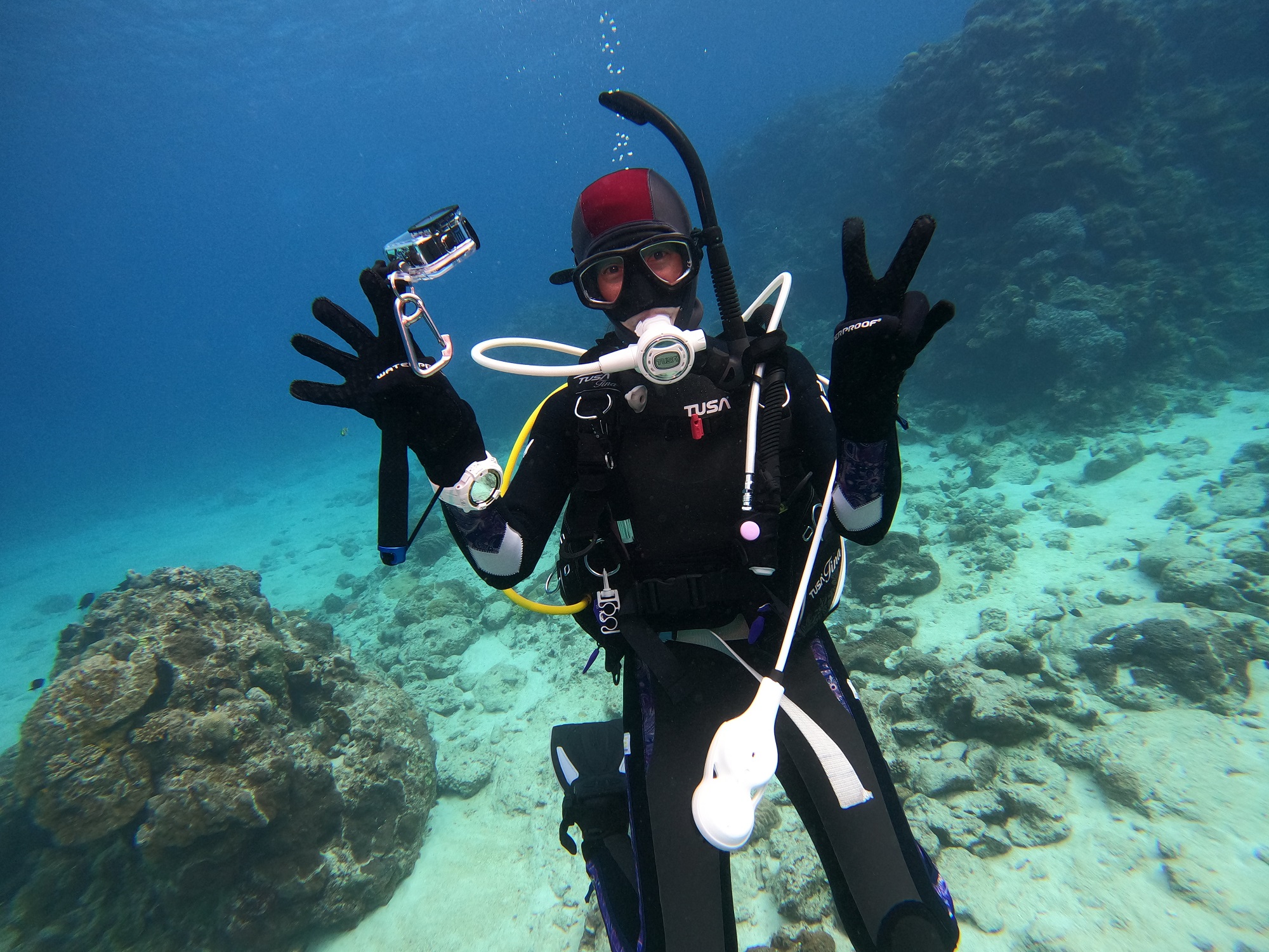 2026年2月19日　カメフィーバー＆クジラのラブソング