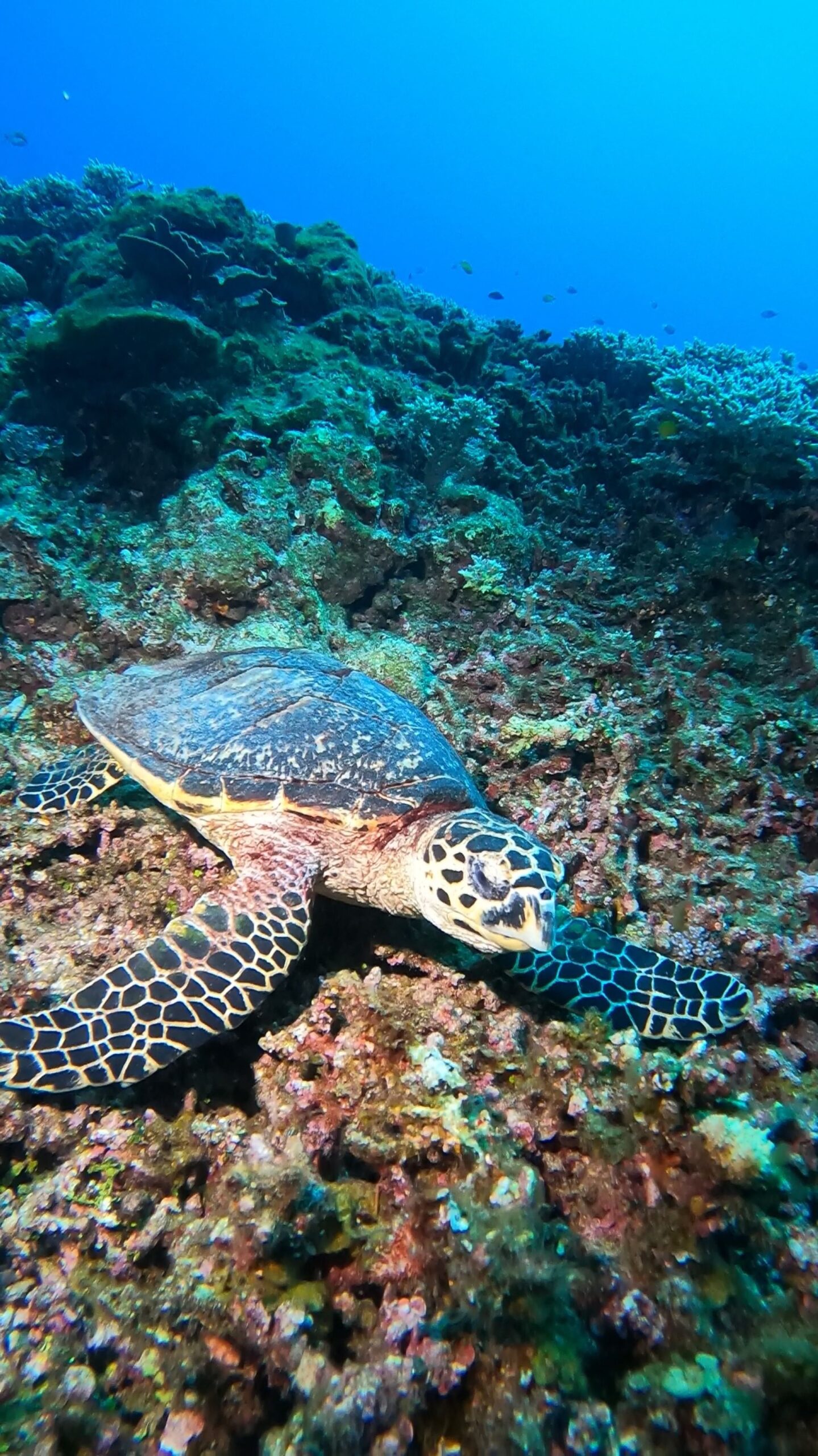 2026年2月27日　本日の沖縄の海.。o○