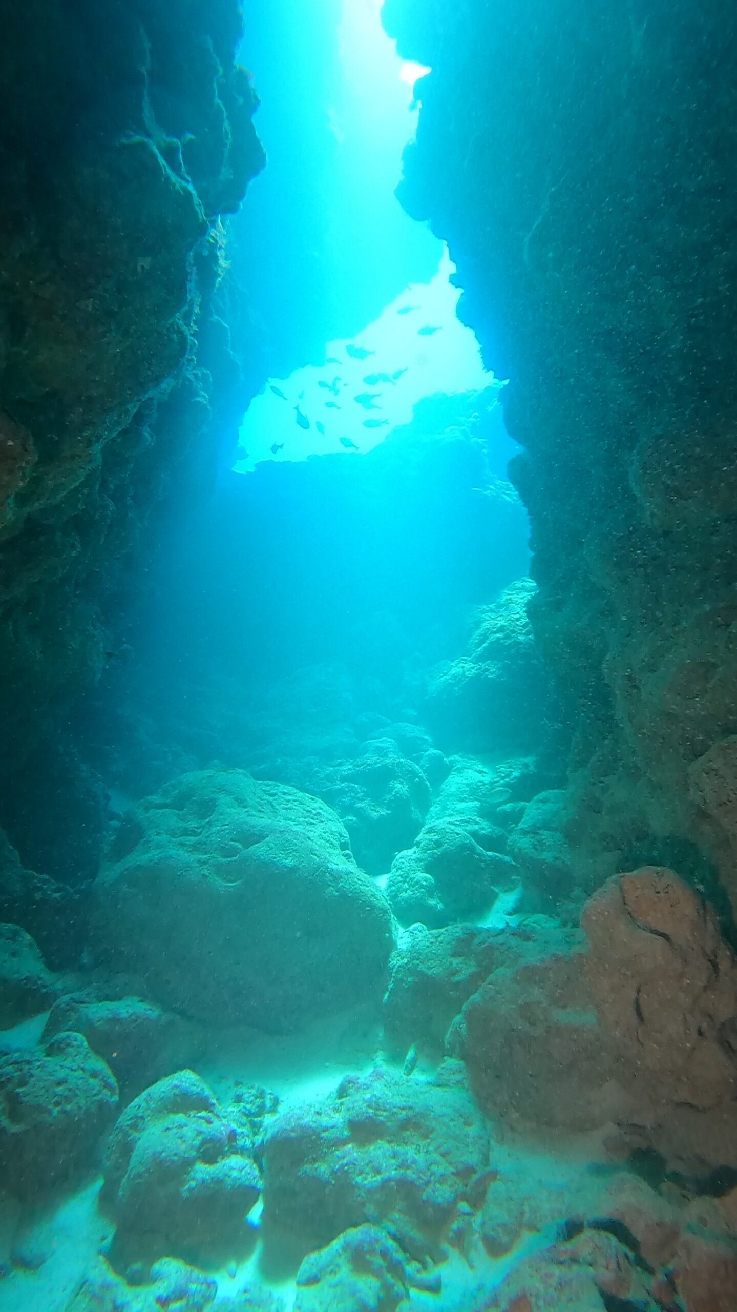 2026年2月28日　本日の沖縄