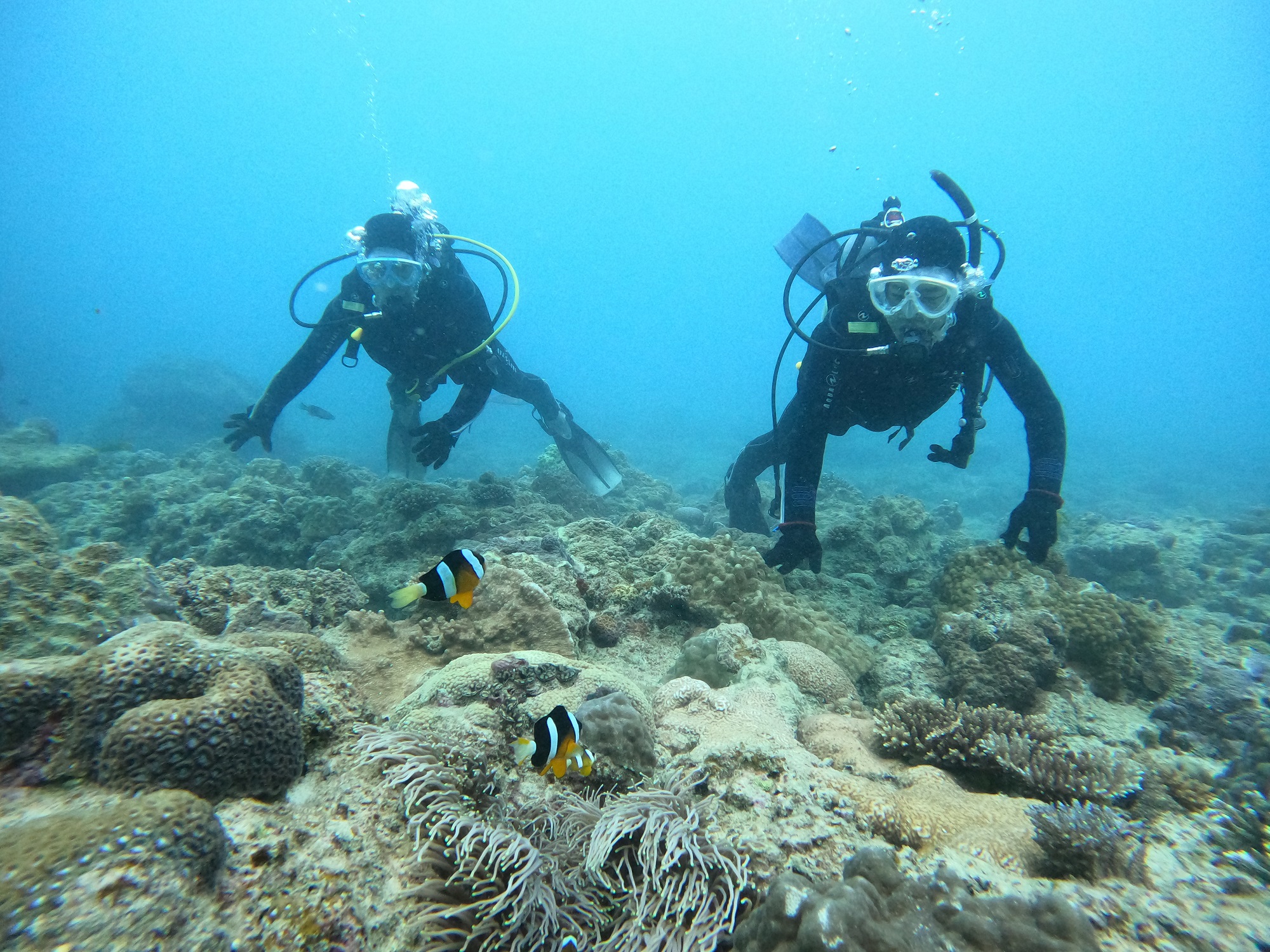 2026年2月9日　チービシ諸島ダイビング