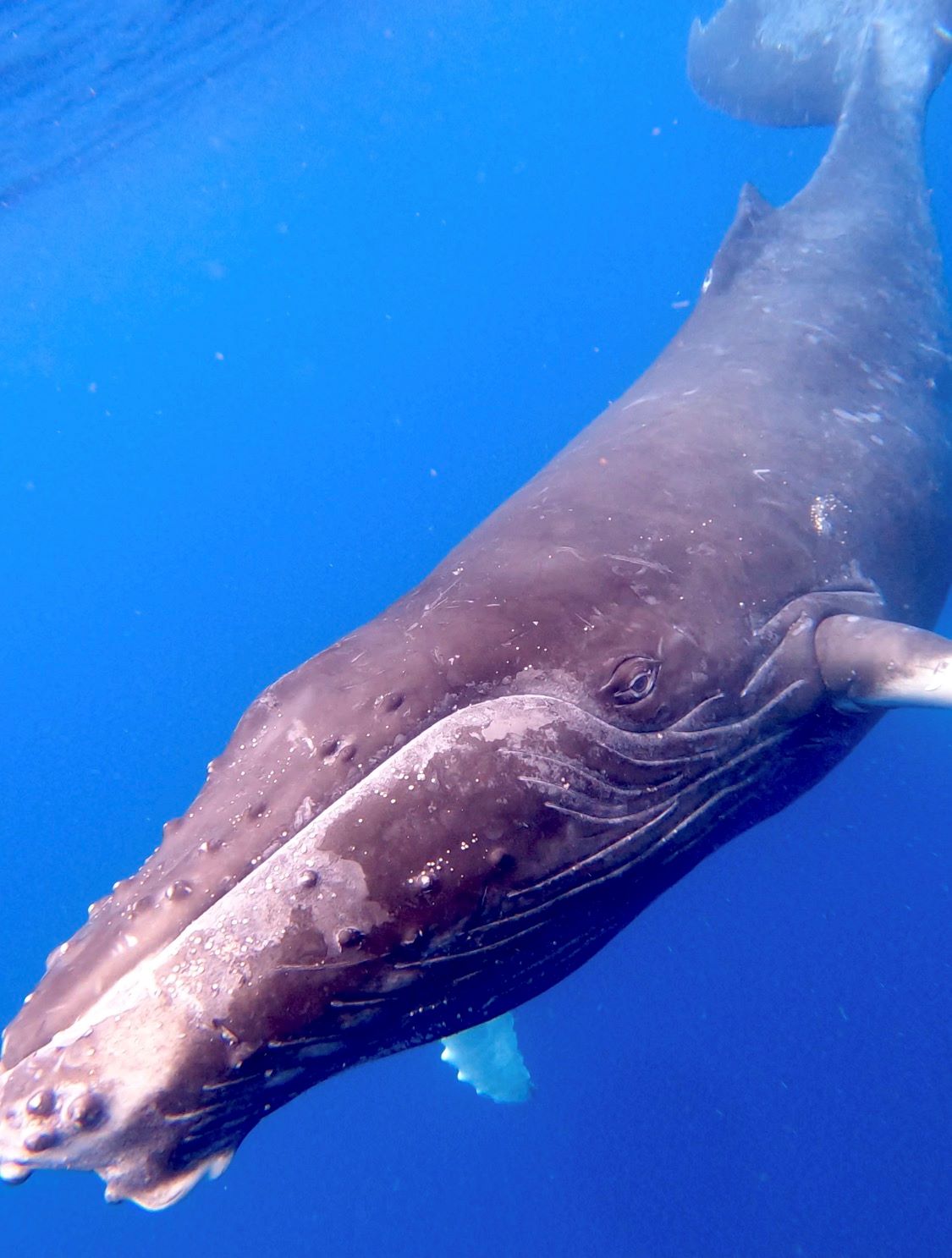 2026年2月16日　ホエールスイム