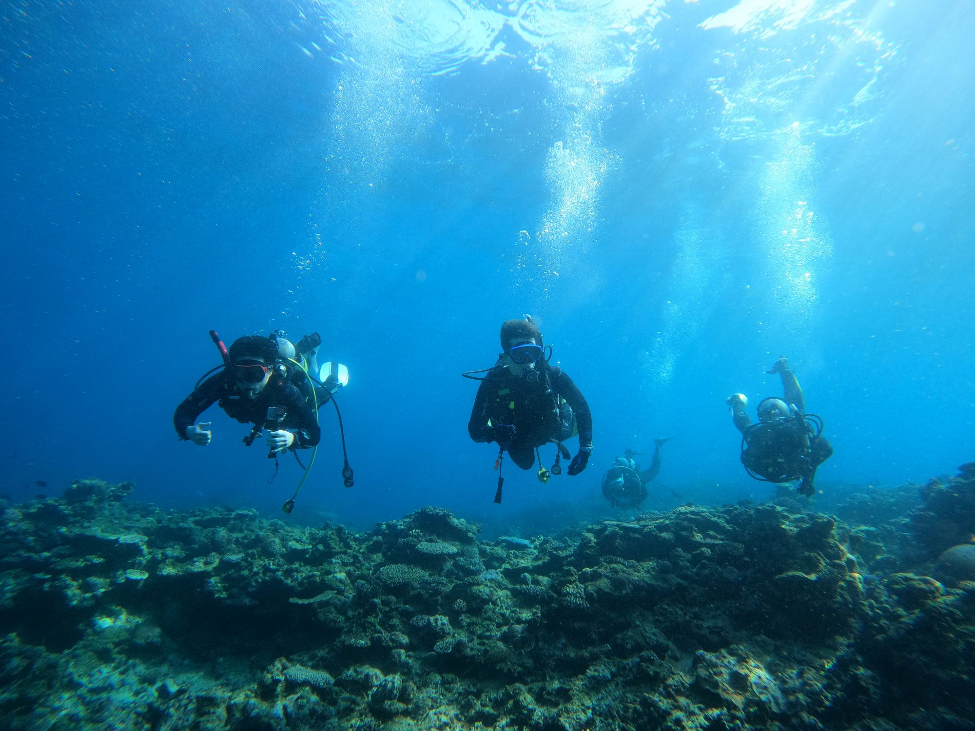 2026年2月13日那覇発ホエールスイム