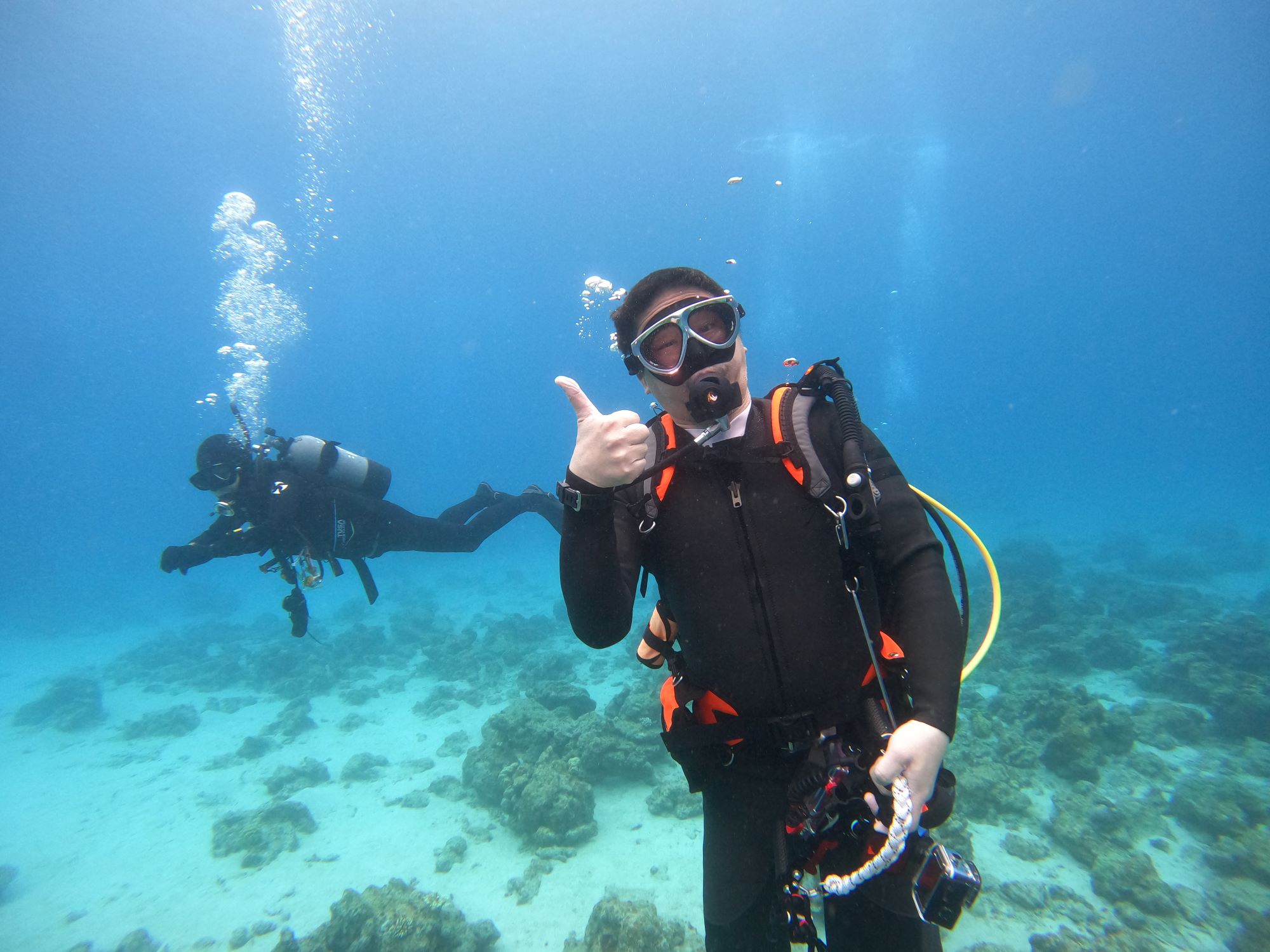 2026年3月20日　春分の日🌸は海日和