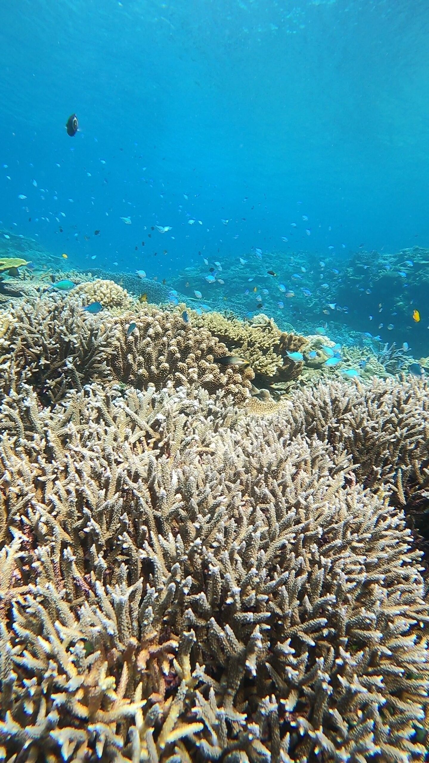 2026年3月1日　本日のツアー.。o○