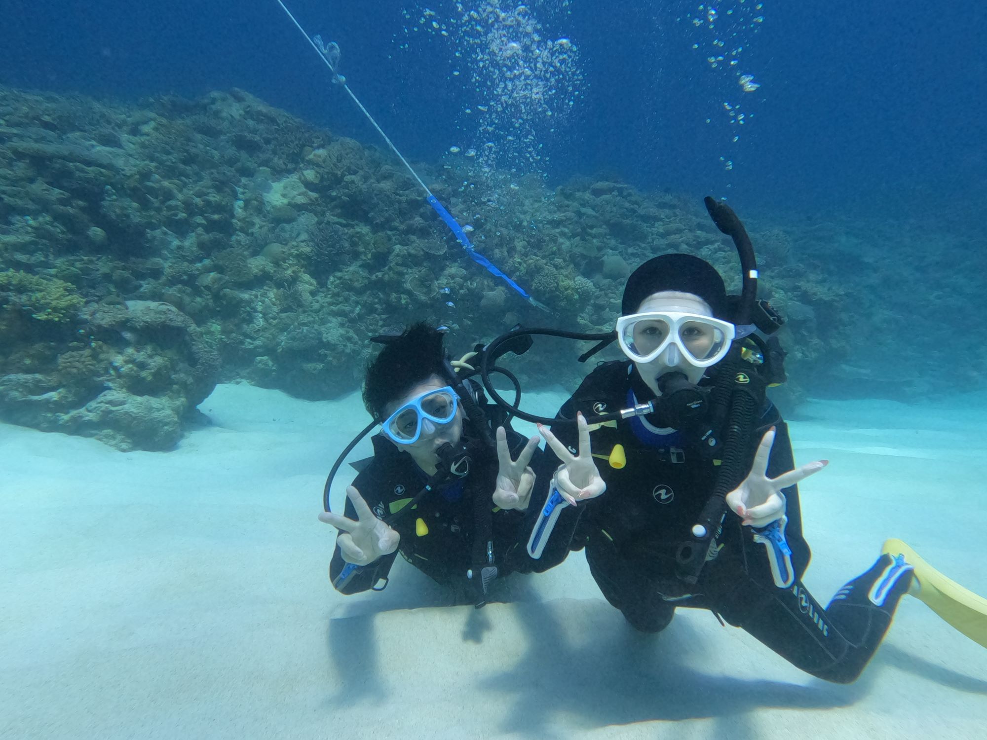 2026年4月6日　本日の海メニューはお休みです