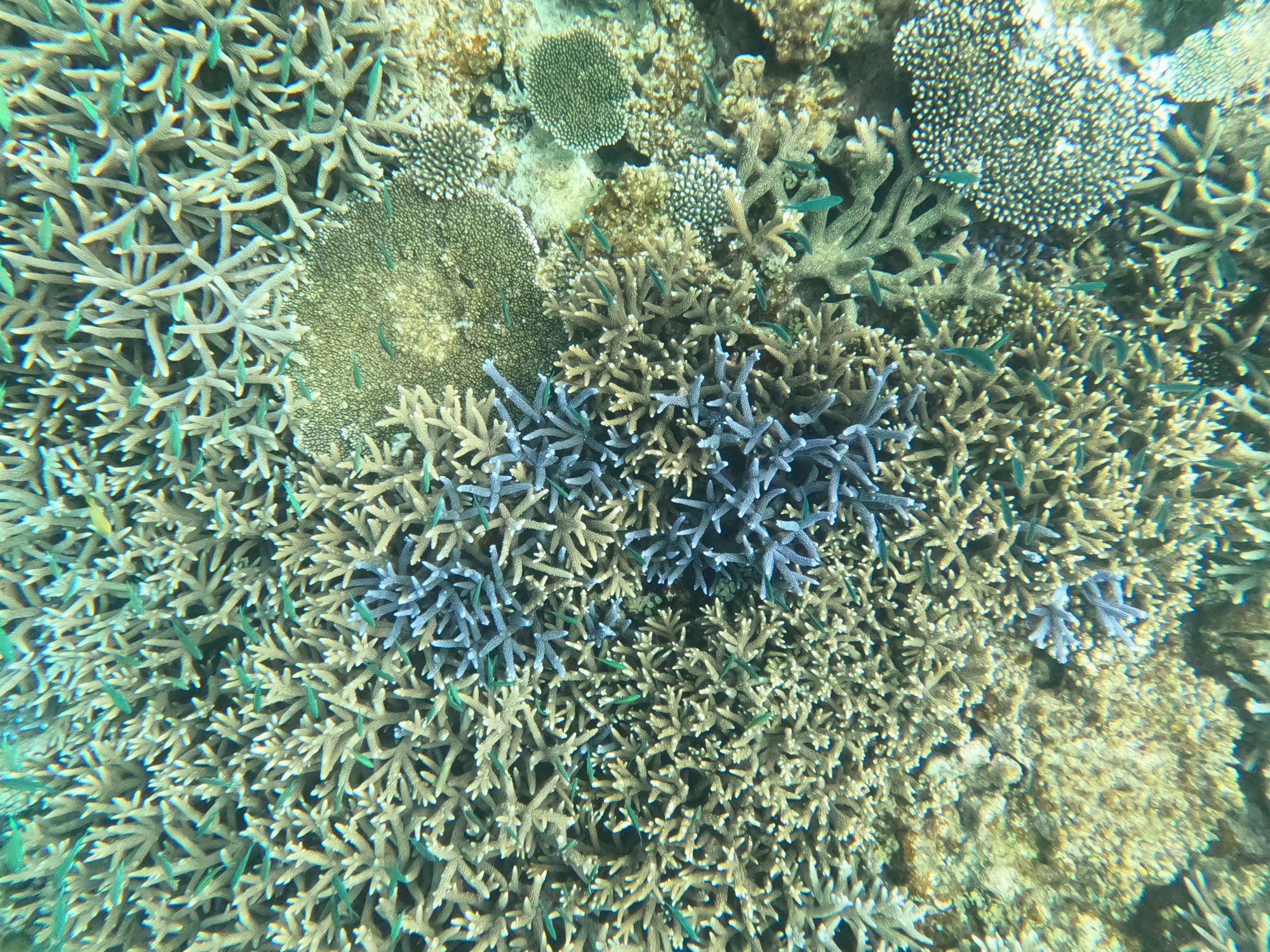 2026年3月28日　もう夏の日差し🌞