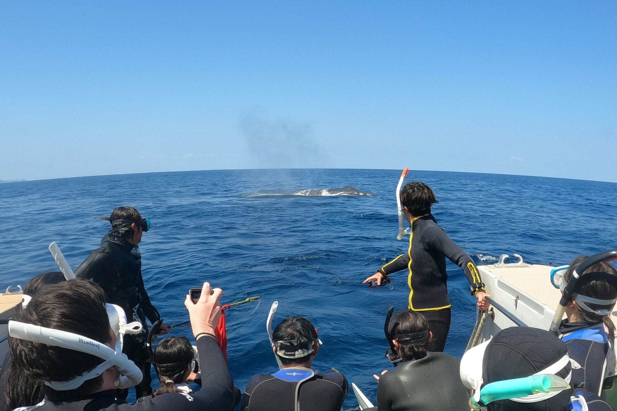 2026年3月16日　ホエールスイム🐋みんなが見た景色は！