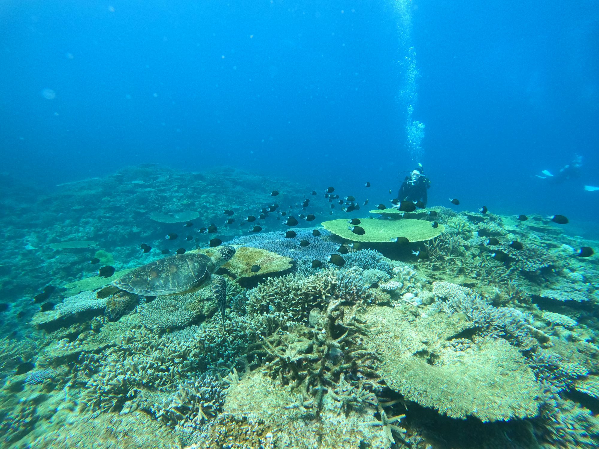 2026年3月18日　日差しは夏😎