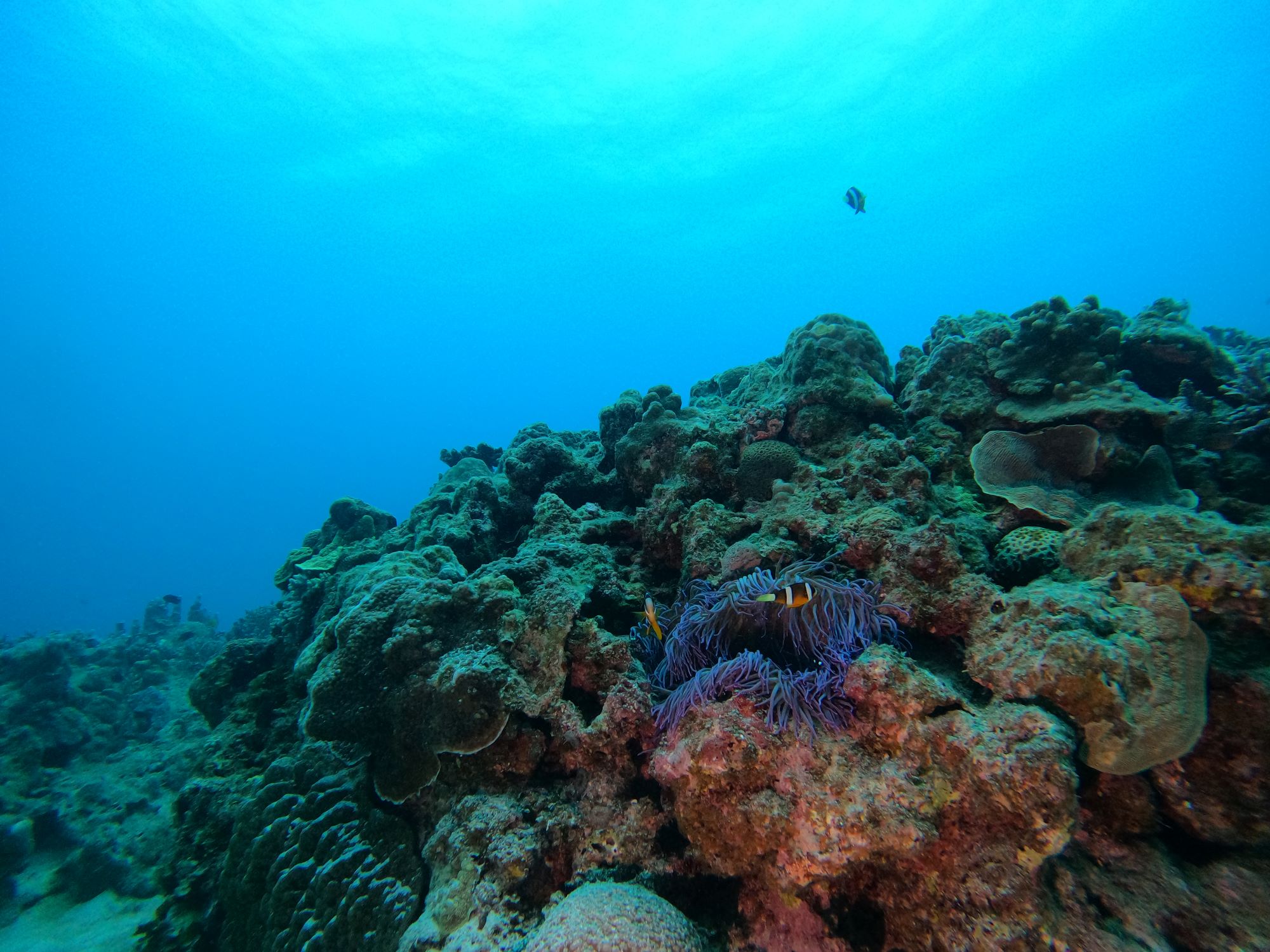 2026年3月7日　本日の海