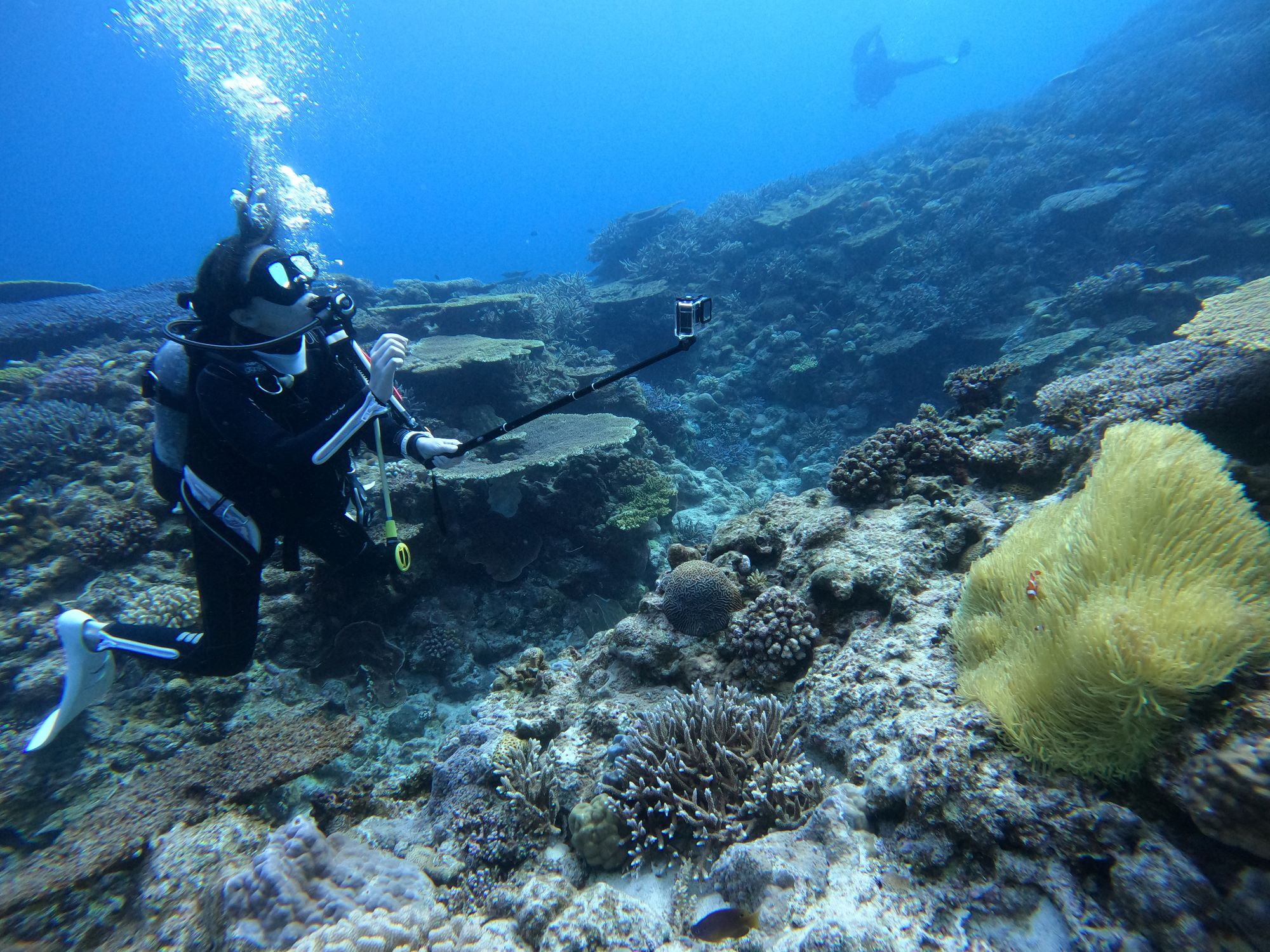 2026年3月29日のんびりファンダイビング😊