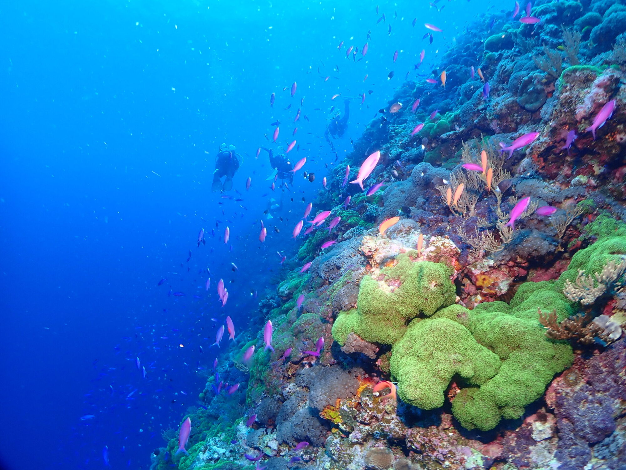 10月と11月は渡名喜島へ！