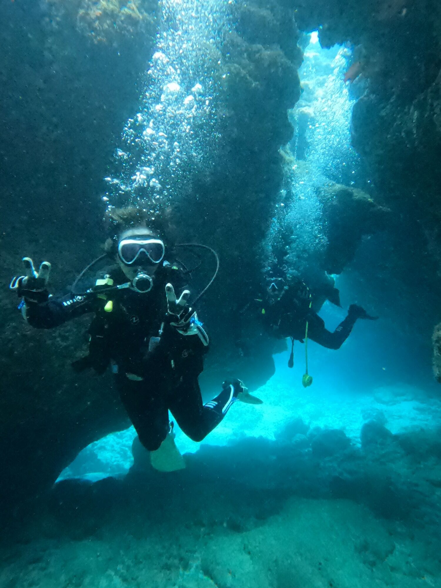 2026年3月9日慶良間ファンダイビング・沖縄本島ホエールスイム