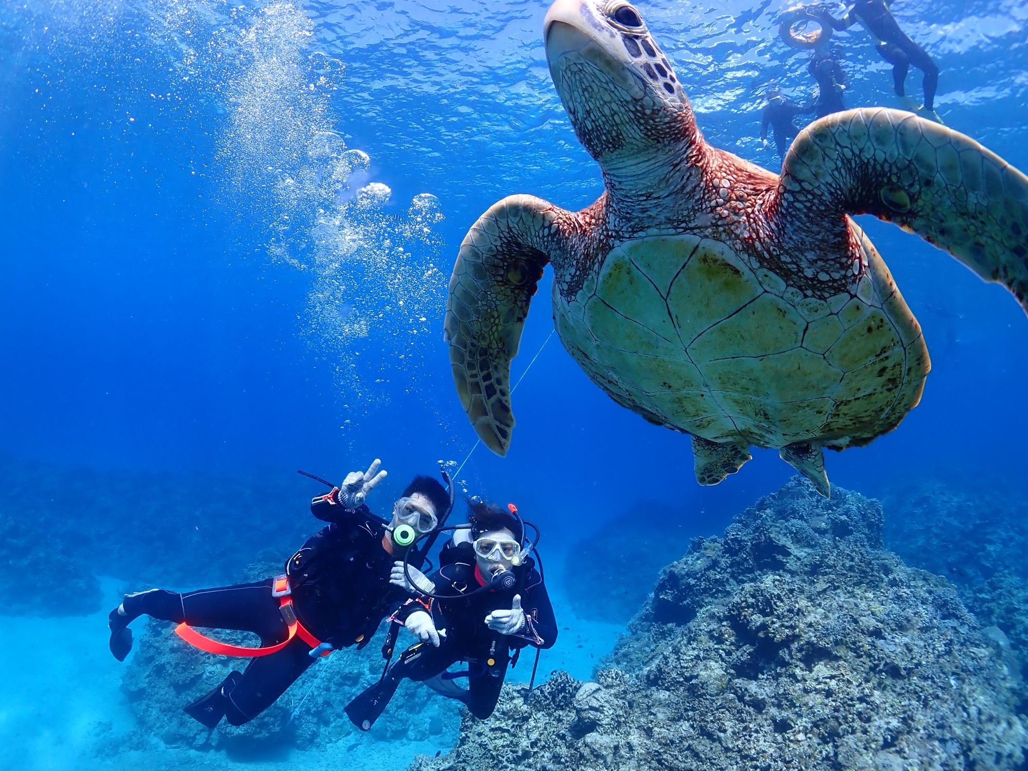 🌸 春休みの予約、受け付けています🌸