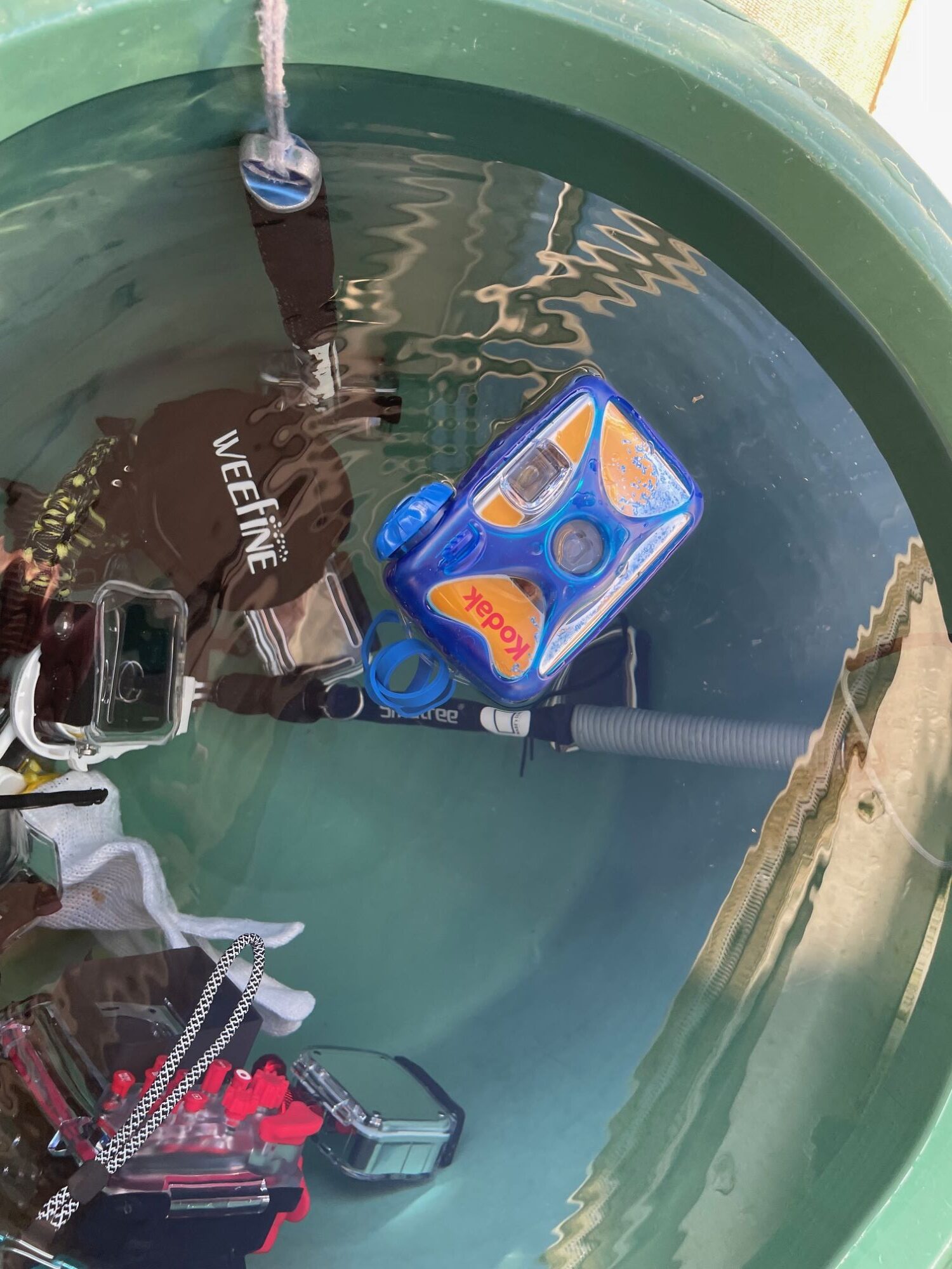 令和に「写ルンです」が新鮮！水中カメラのレトロな魅力とは？