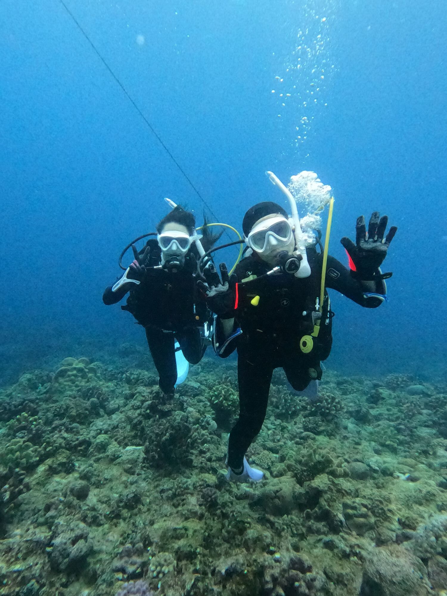 2026年3月25日春休み🌸慶良間ボートファンダイビング