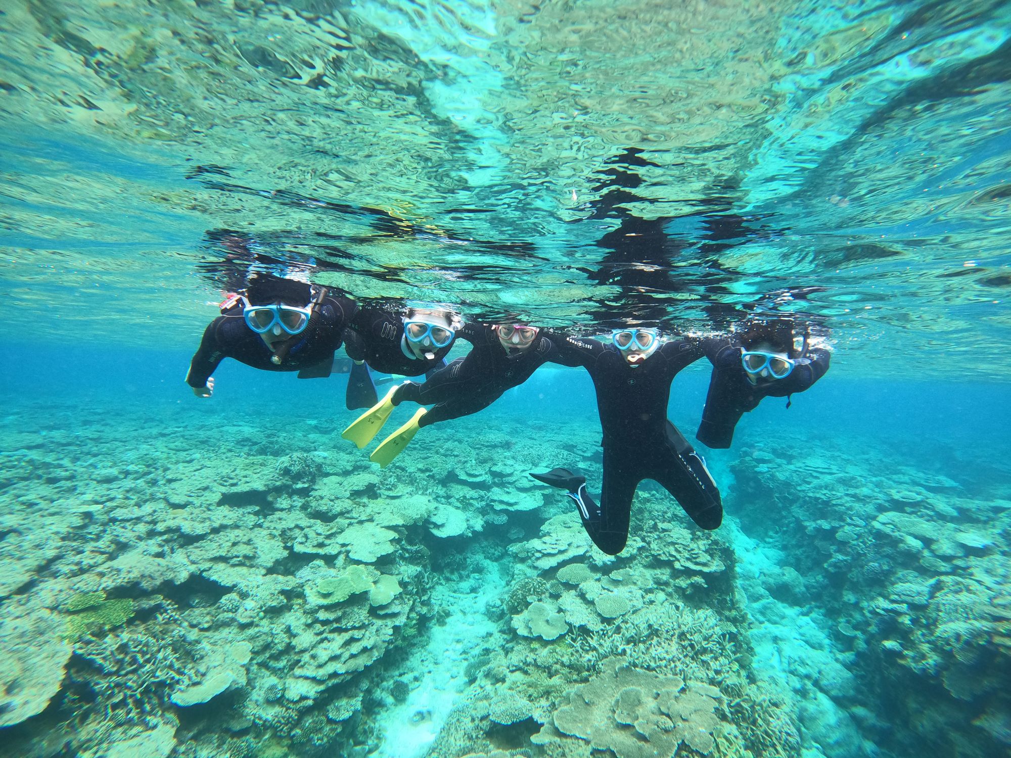 2026年3月27日春休み🌸慶良間諸島日帰りボートツアー