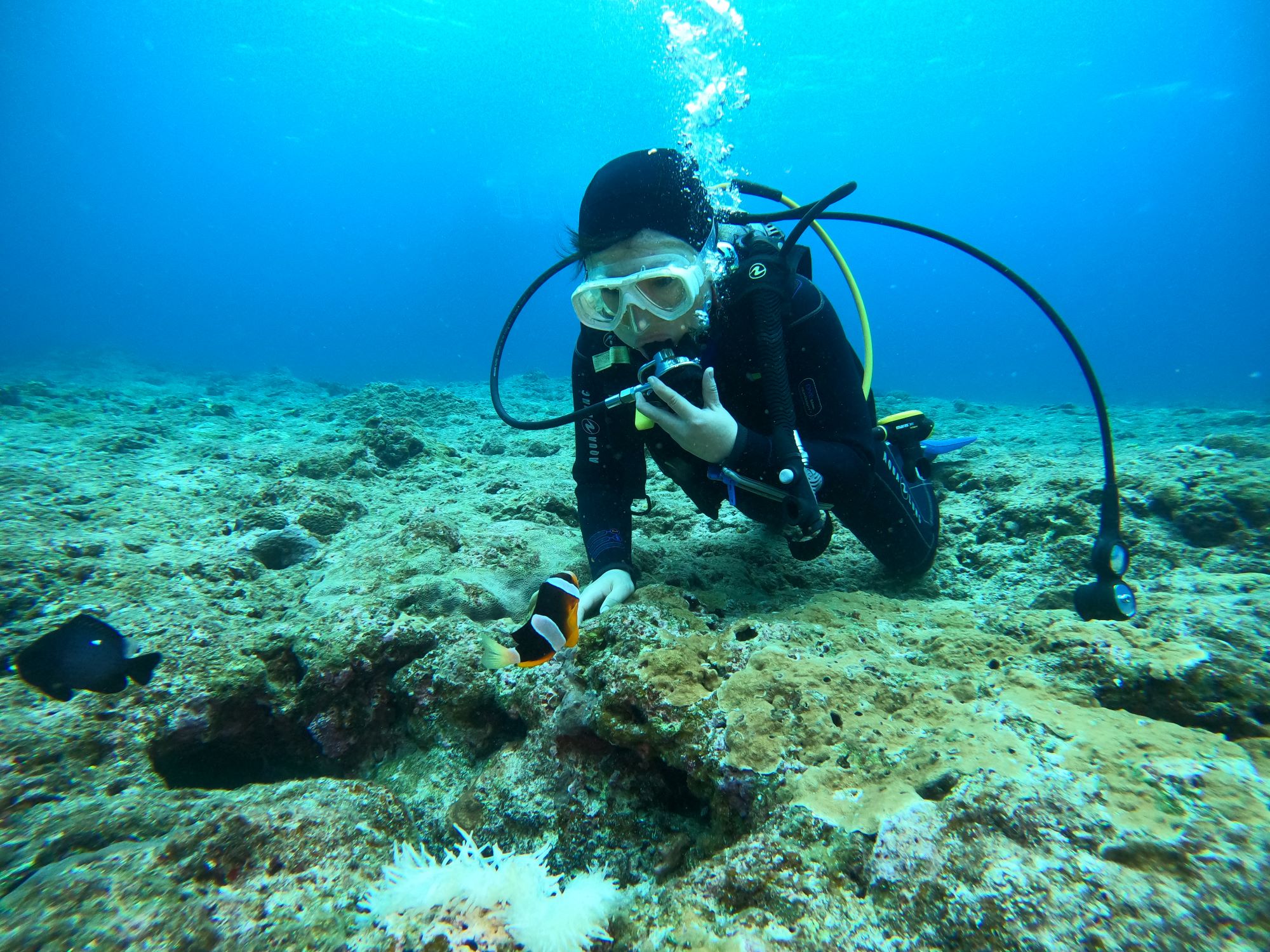 2026年3月31日体験ダイビング2ダイブプラン♪