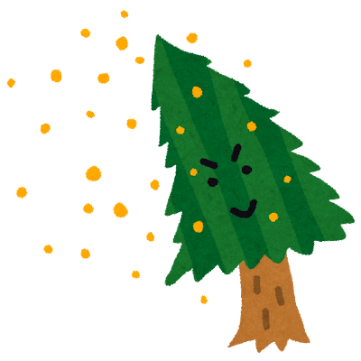 沖縄の花粉事情🌲