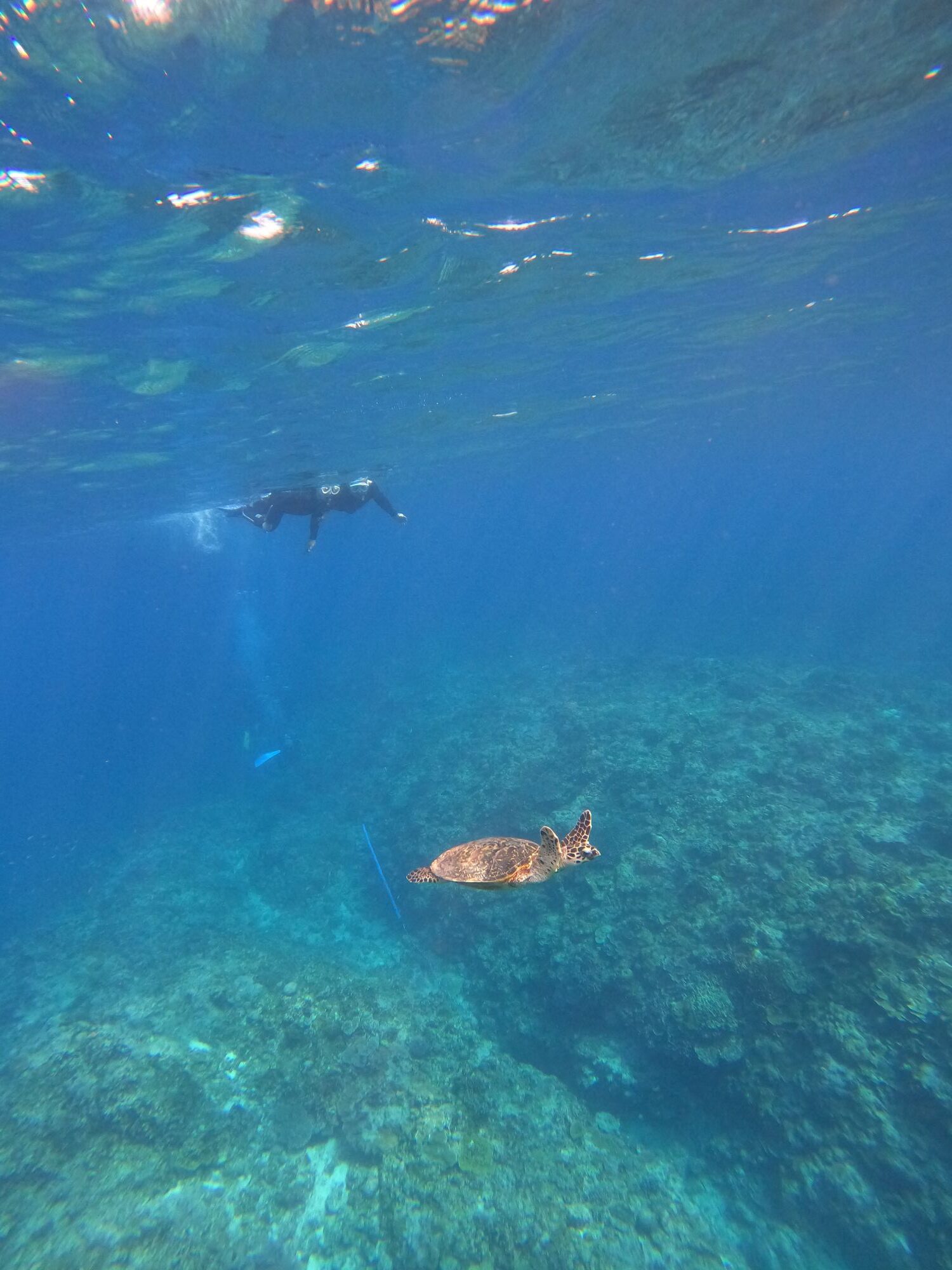 2026年4月13日　うれしい水温🥰