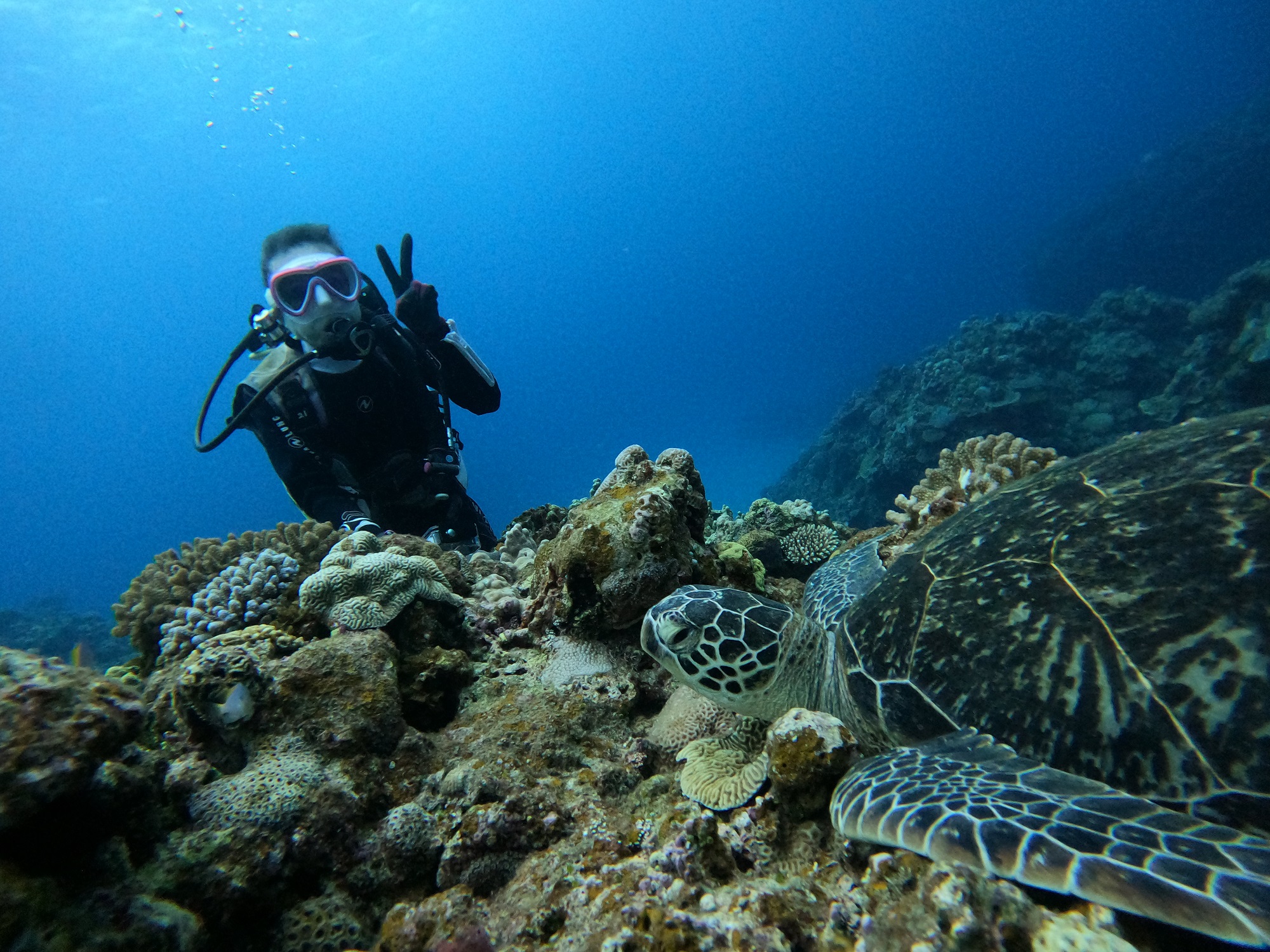 2026年4月26日　カメいっぱい！