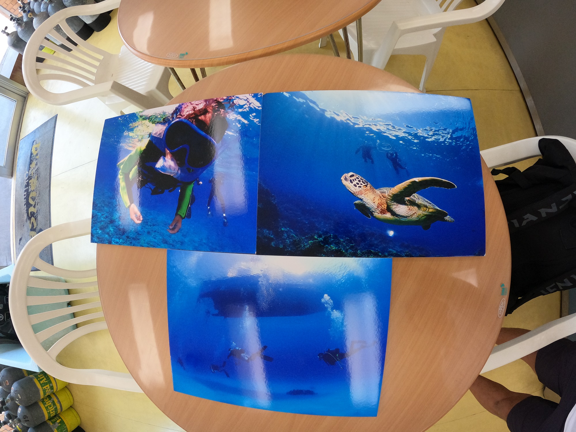 ミニミニ写真展