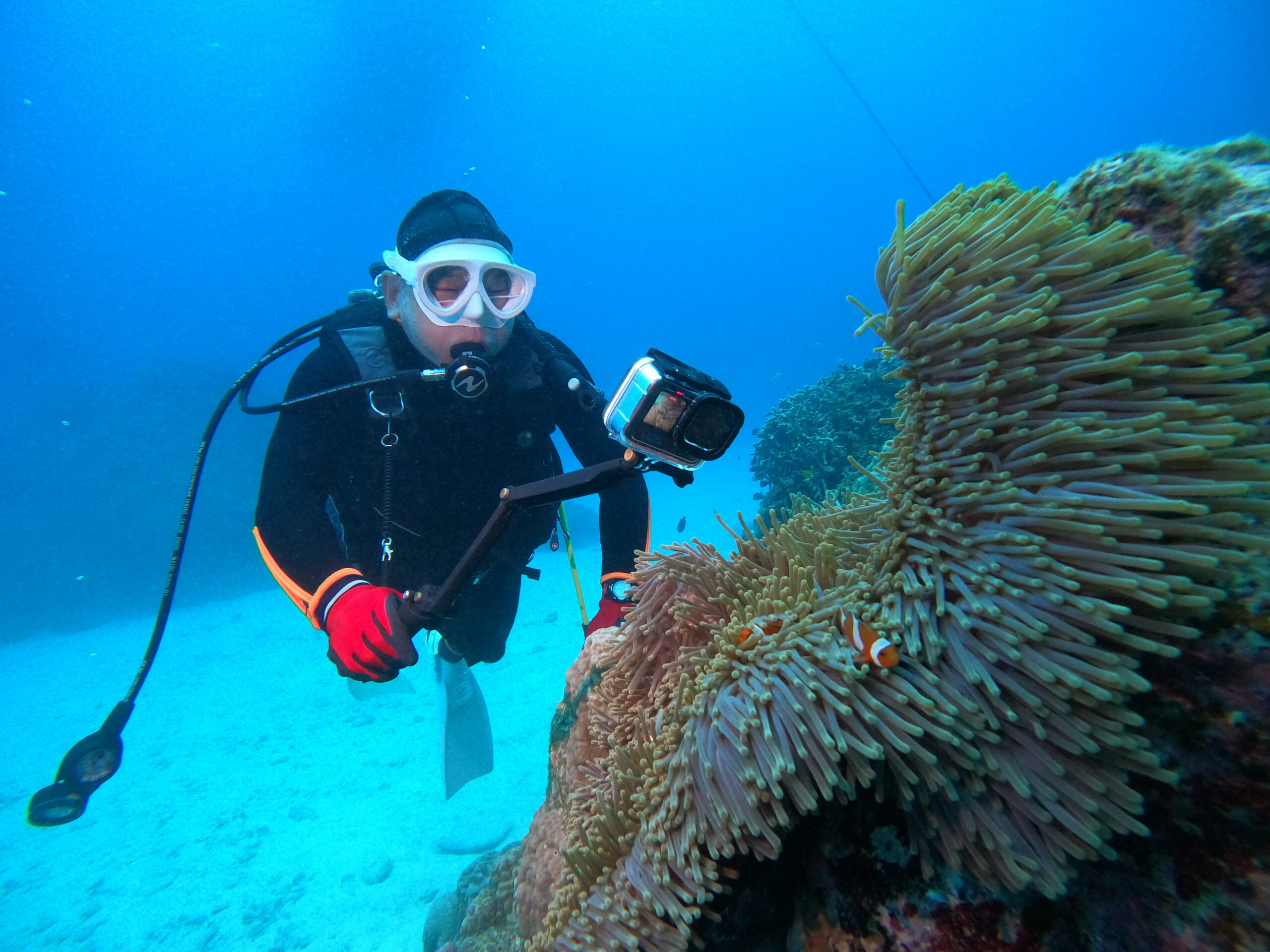 2026年4月15日　オールメニューで海をたのしみました🌞