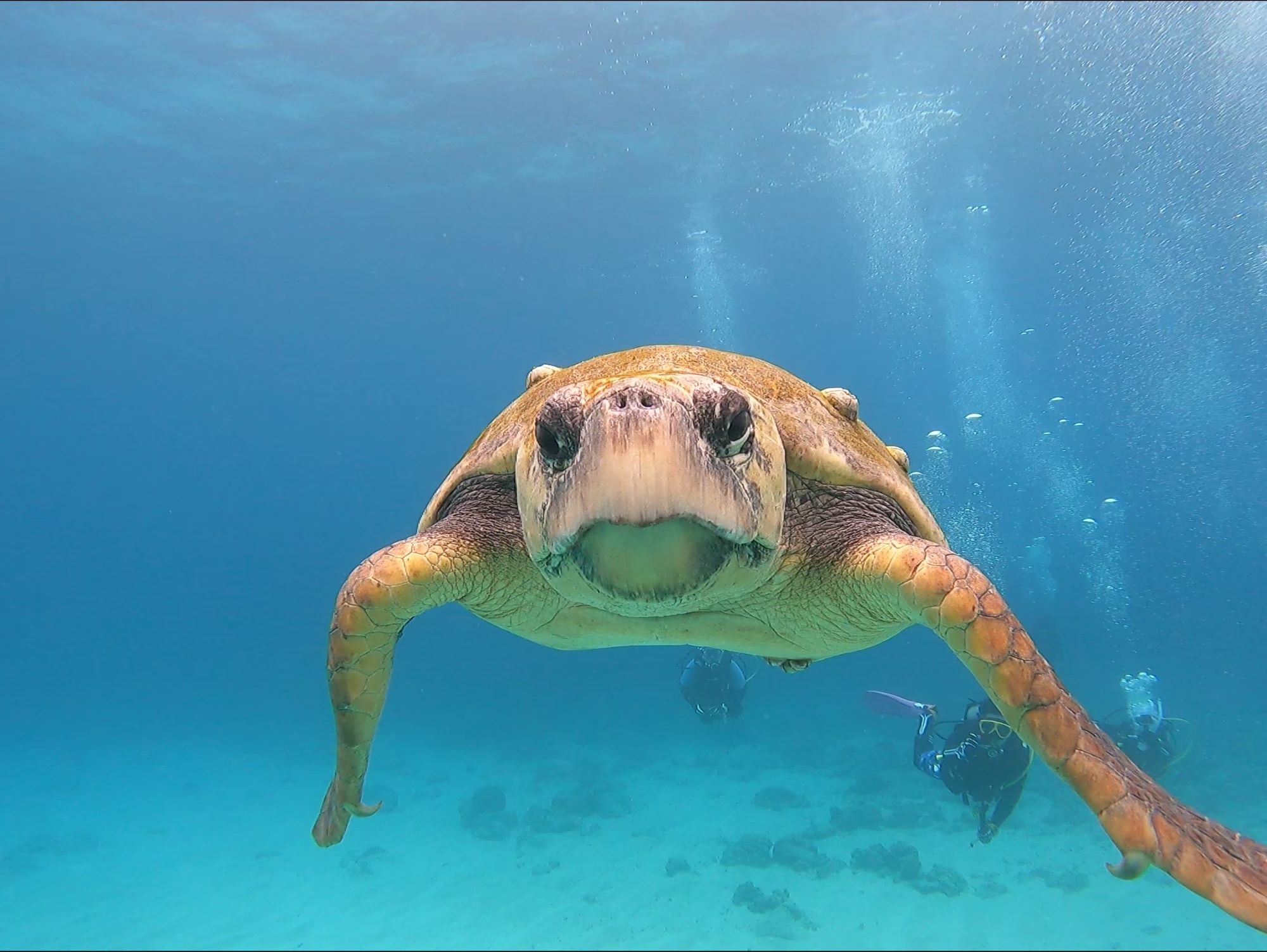 2026年4月19日　今日のスターはだぁれ🐢