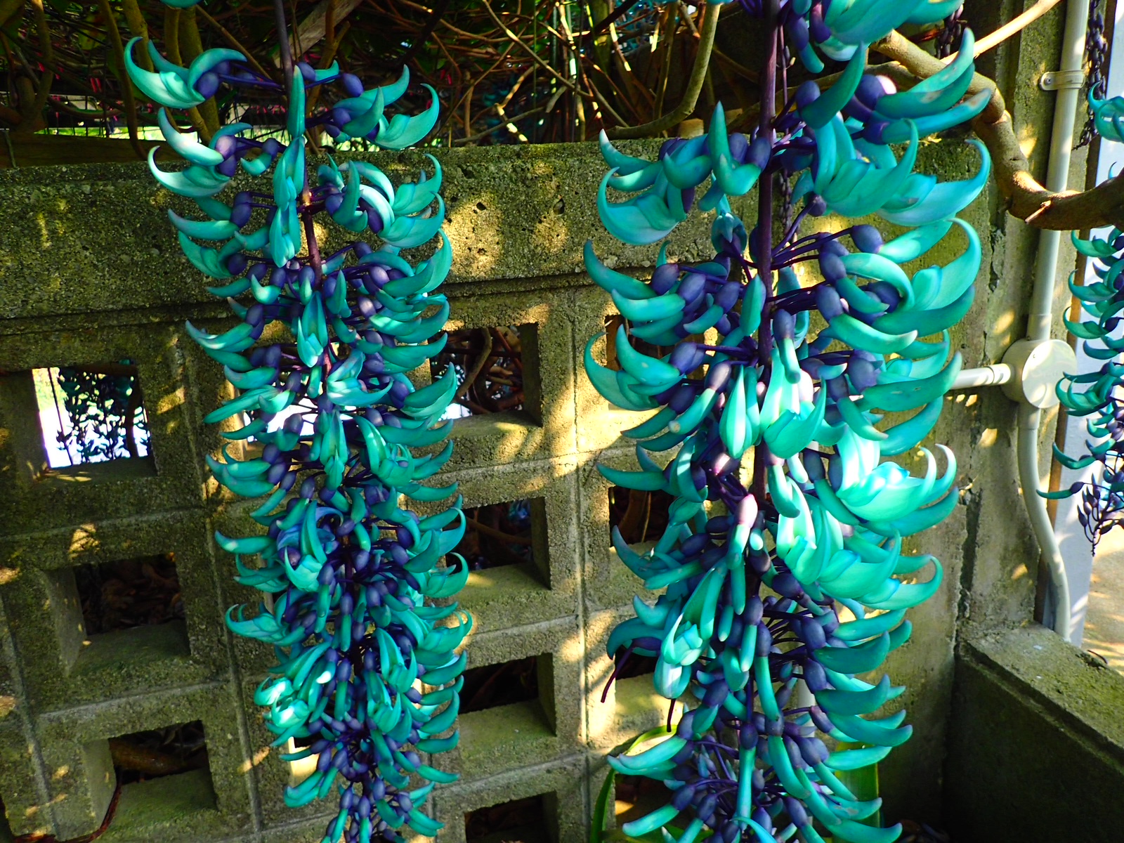 4月スタートですね‼色鮮やかな沖縄