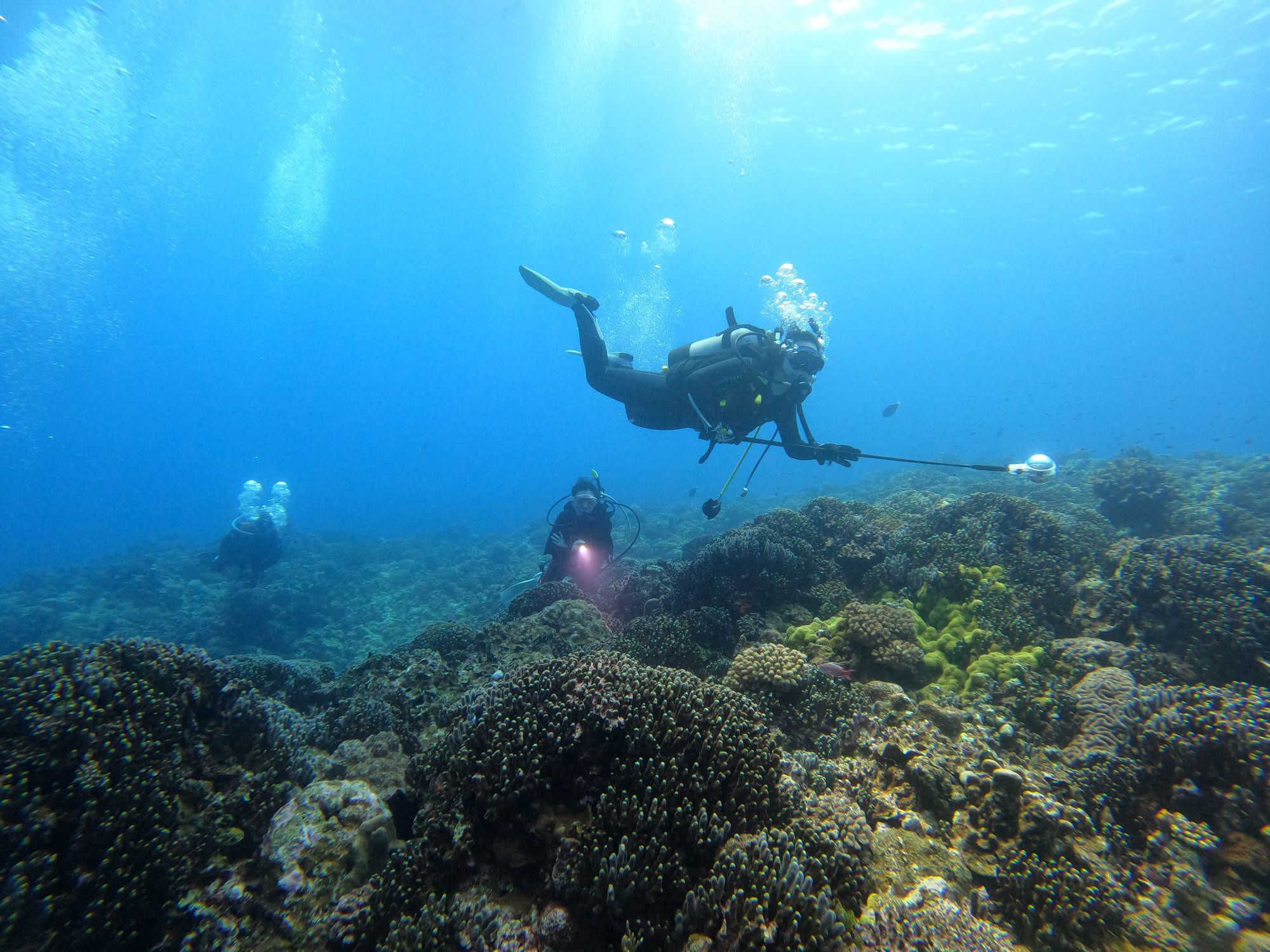 2026年4月14日慶良間諸島ボートファンダイビング