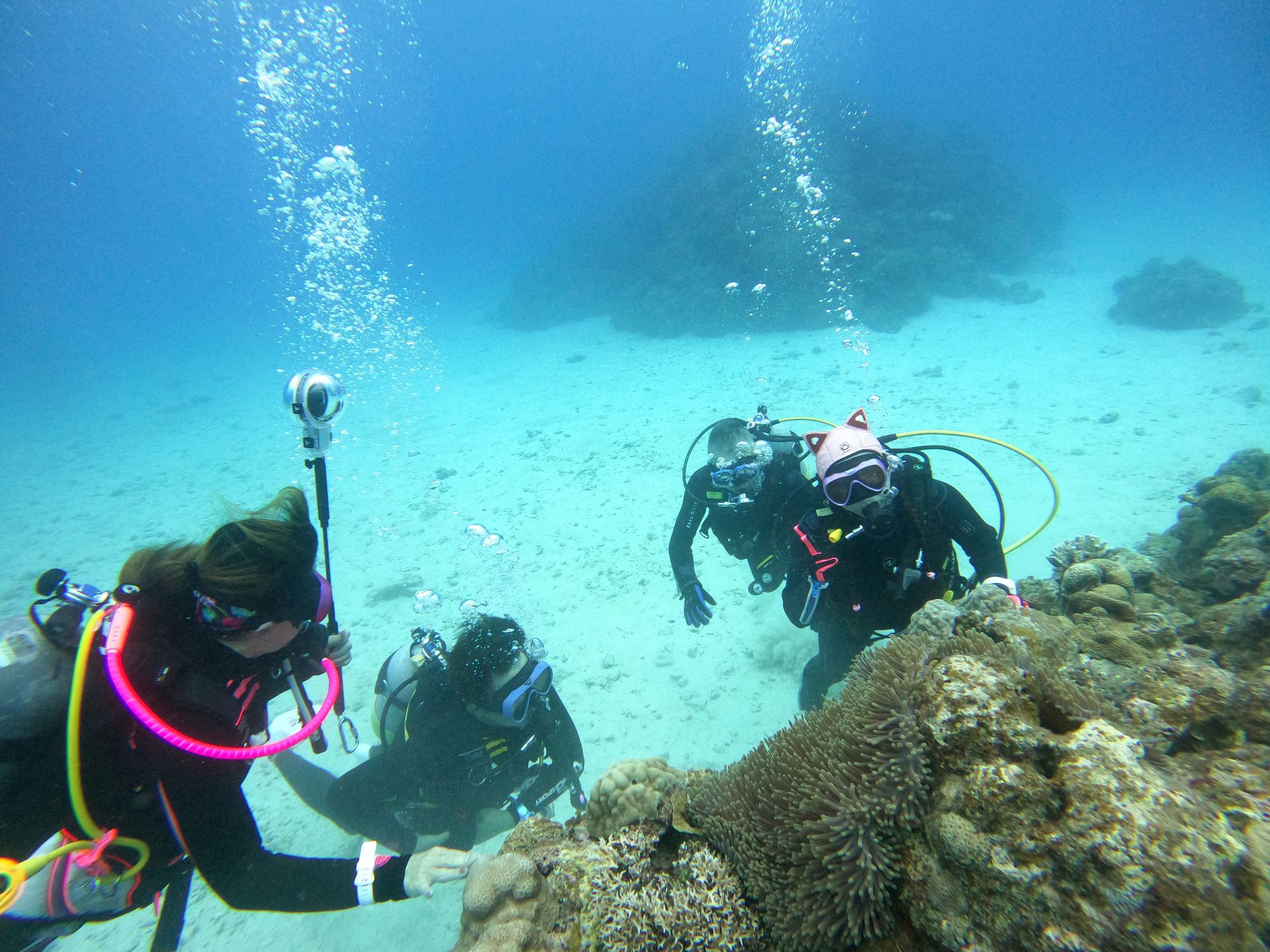 2026年4月21日慶良間ボートファンダイビング