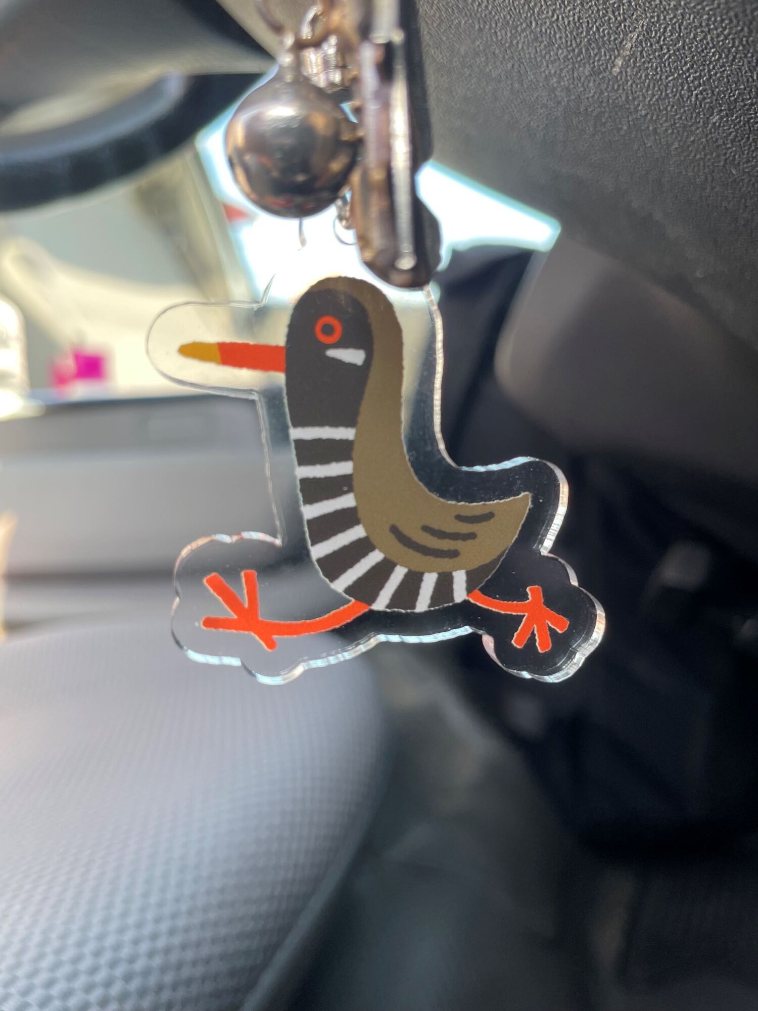 沖縄の固有種「ヤンバルクイナ」