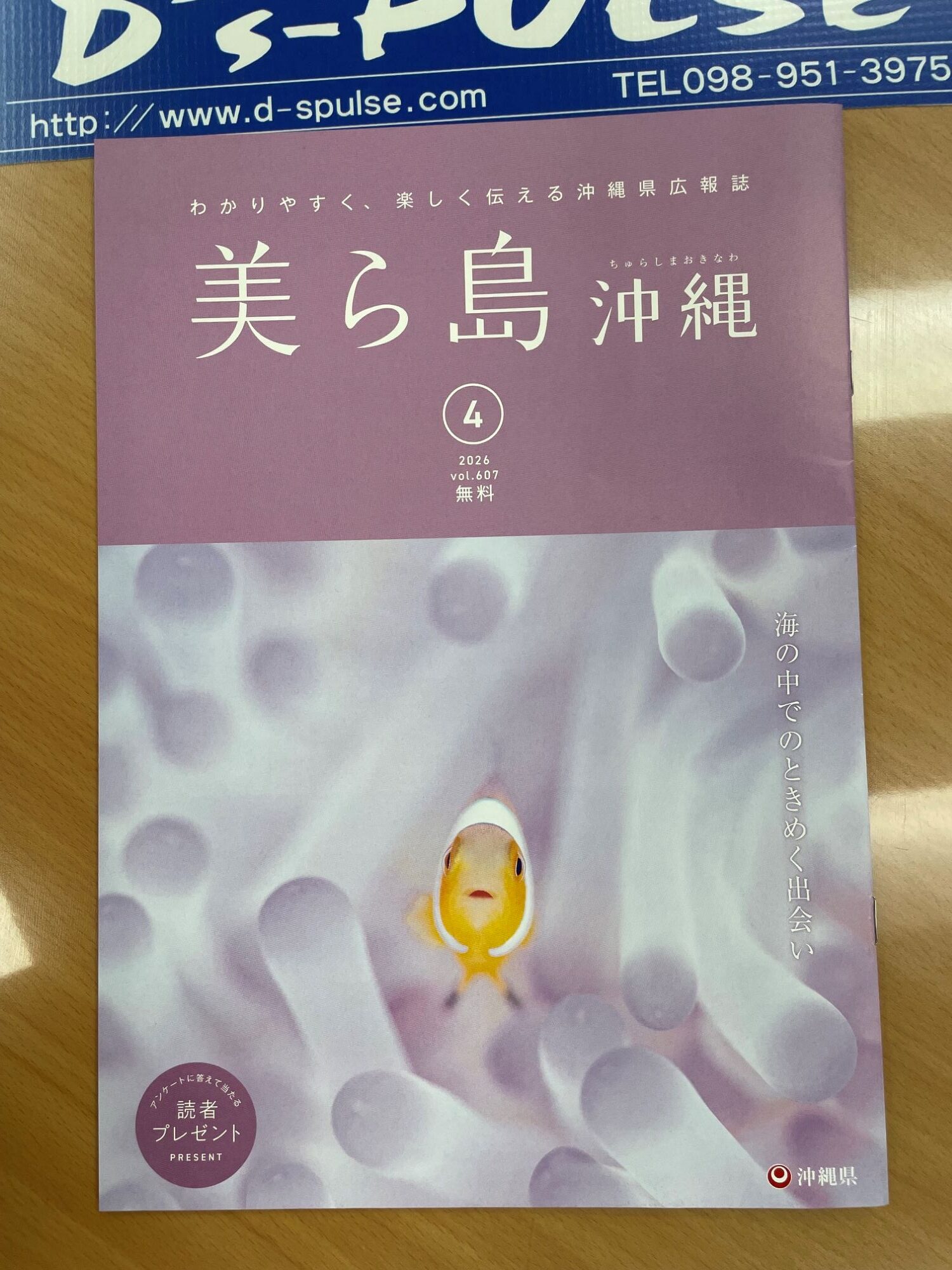 沖縄県の広報誌の表紙📙かわいすぎる💗